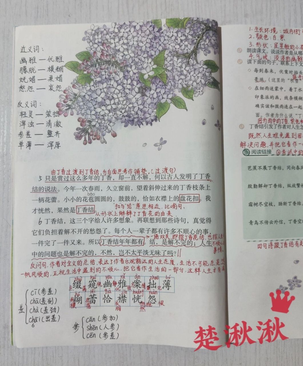 课堂笔记 | 六年级上册 第2课《丁香结》 重点难点:能说出丁香结因为