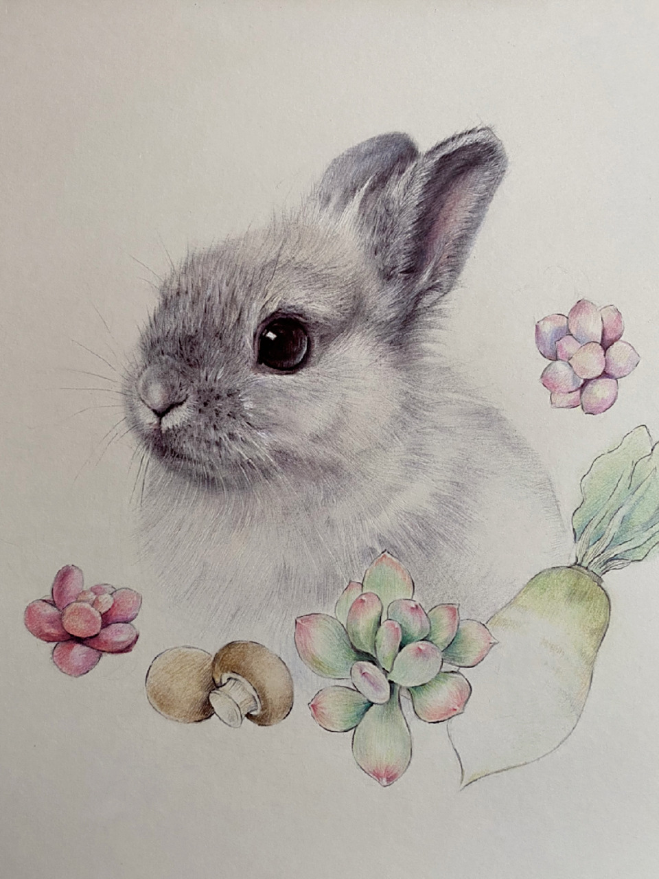 素描77彩铅 小兔子 及一些作画步骤 这幅画我尝试用彩铅加了点可爱