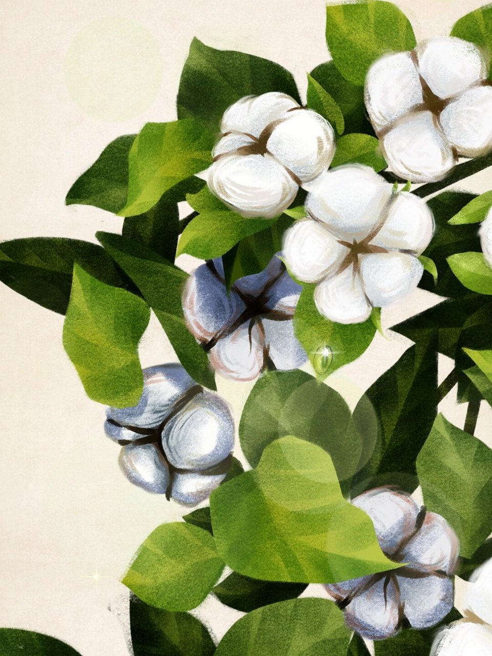 古风元素|绿色手绘植物棉花素材no.