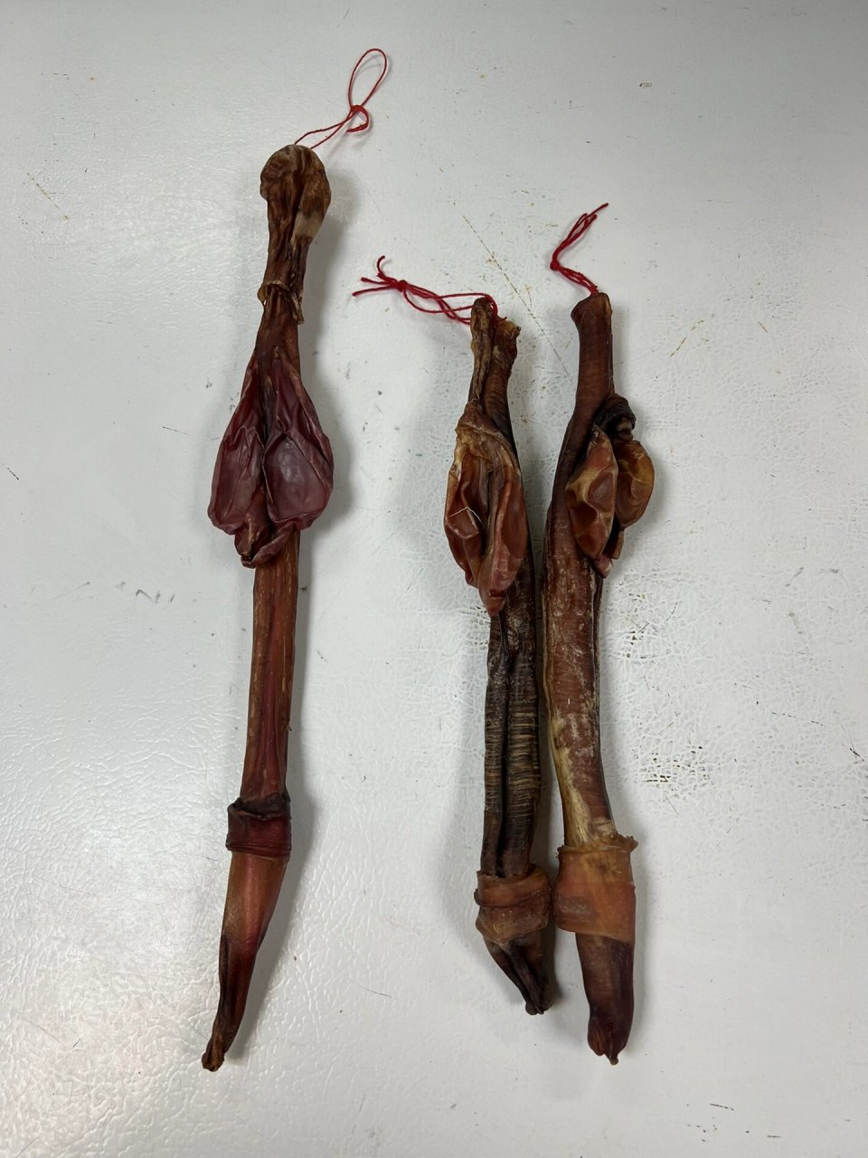 能分辨哪條是鹿鞭,哪條是牛鞭嗎?
