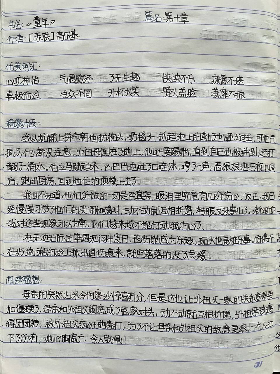 读书笔记《童年》第十章