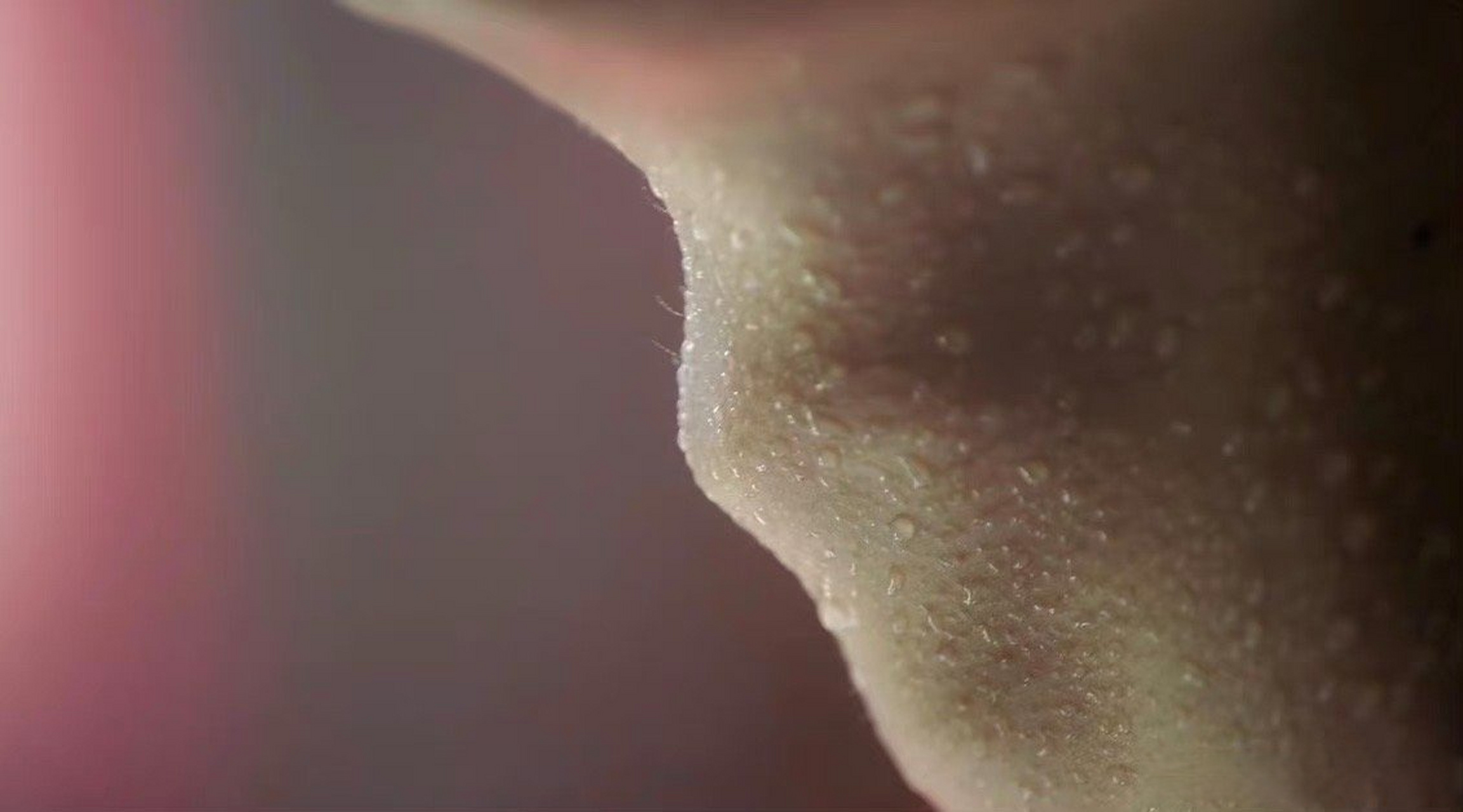 肖战这个喉结特写导演好会拍