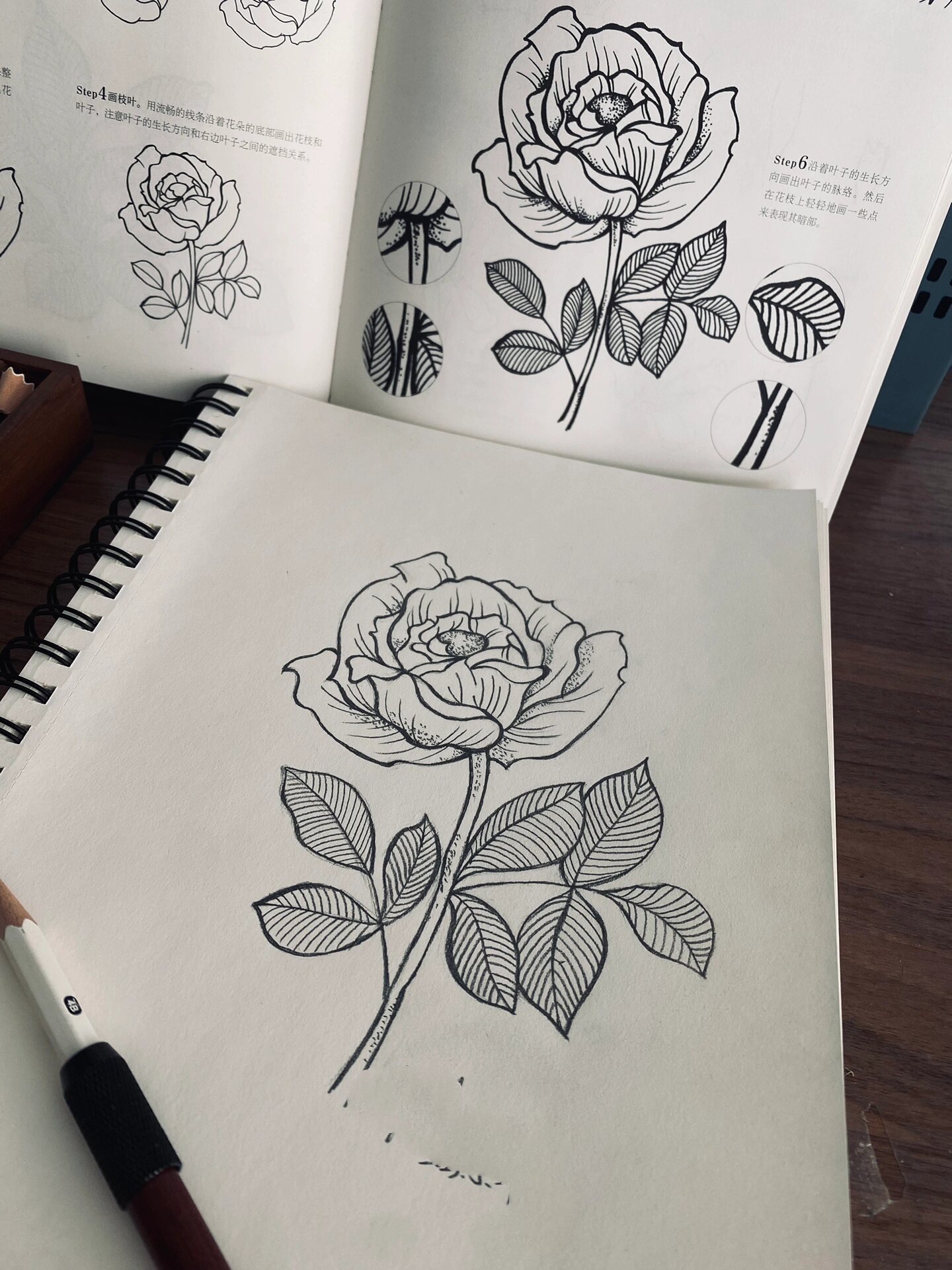 铅笔画临摹115 月季花