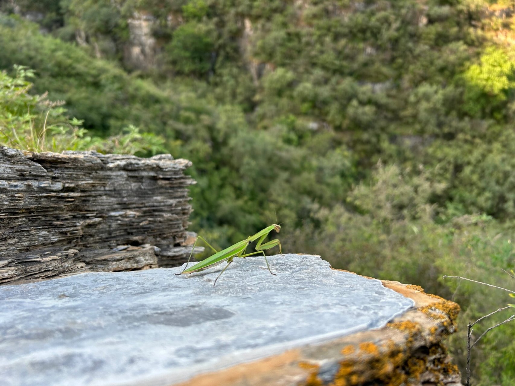 29日的蚕姑坨,小红书徒步网红打卡地,应该不会去第二次了