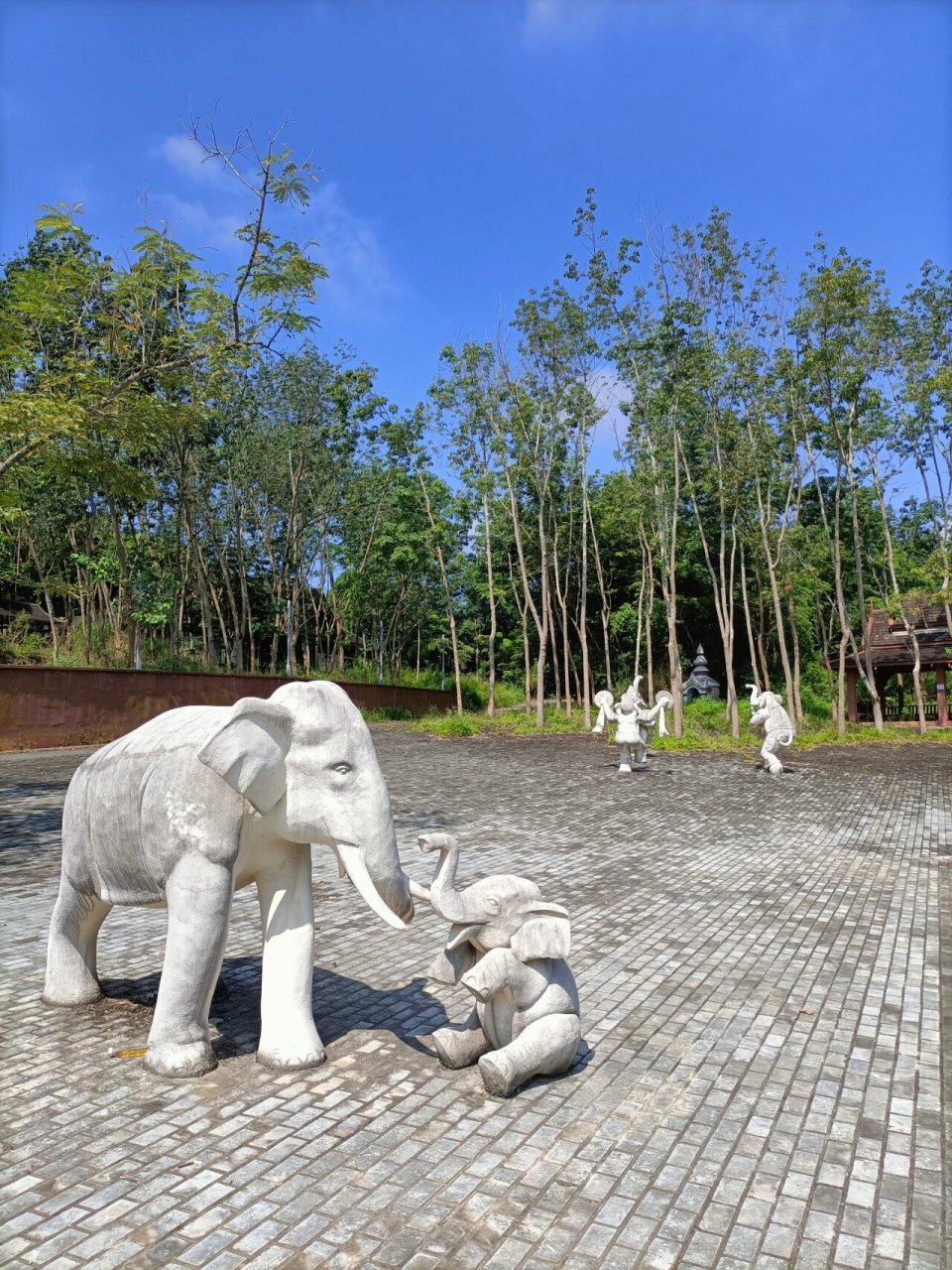 曼景古寨图片