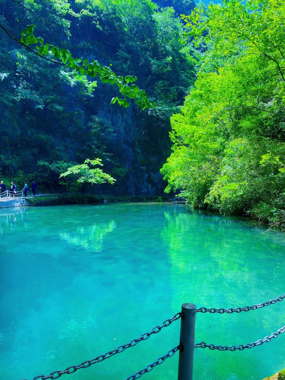 襄阳南漳一日游小众旅游地  南漳翡翠峡,泉水清澈见底,只有一条窄窄的