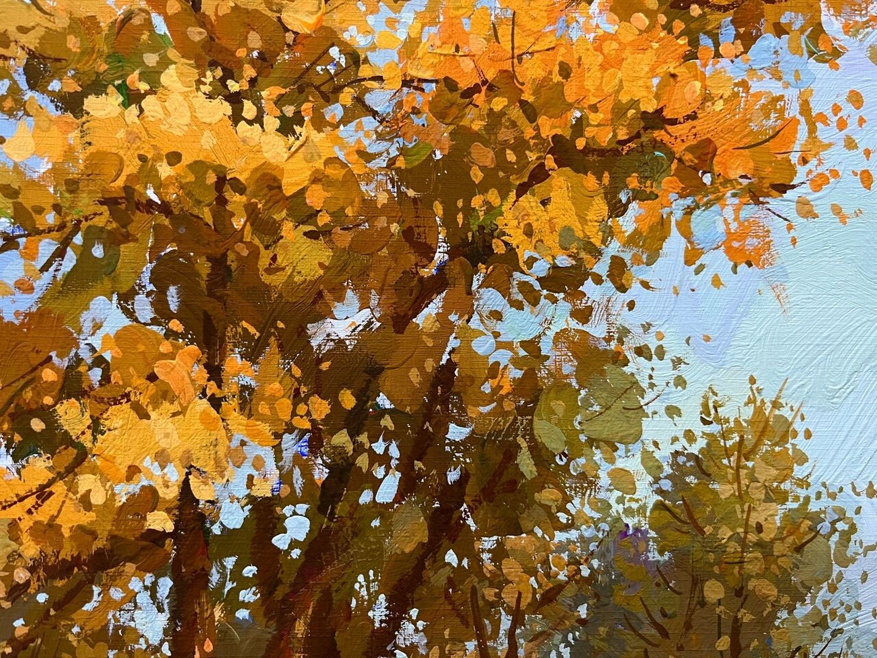 色彩风景 秋天的风景 树  秋天的树  秋天的景色 绘画  特写构图