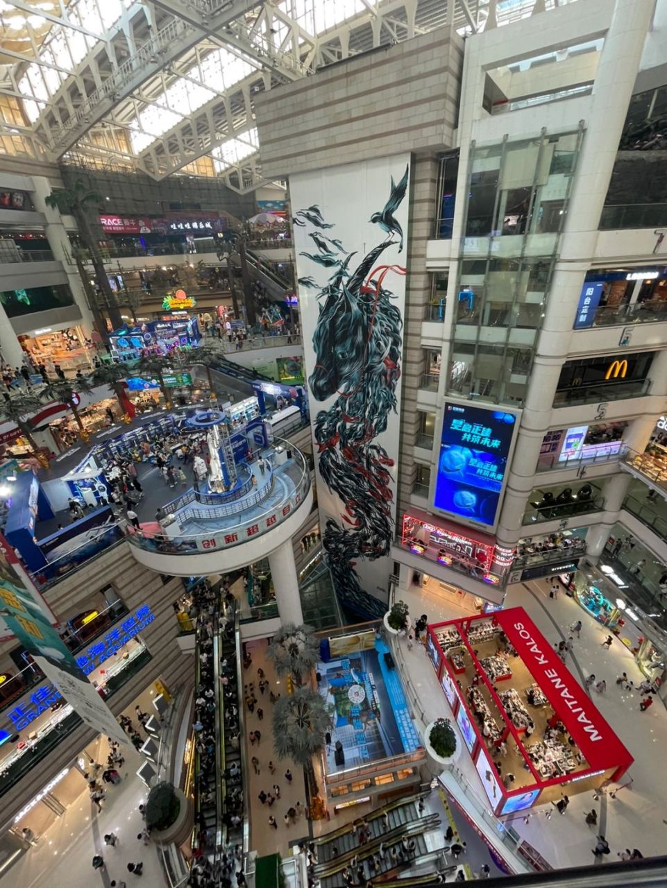 广州正佳广场太猛了 第一次去到一个 集植物园,海洋馆,游乐园,滑冰场