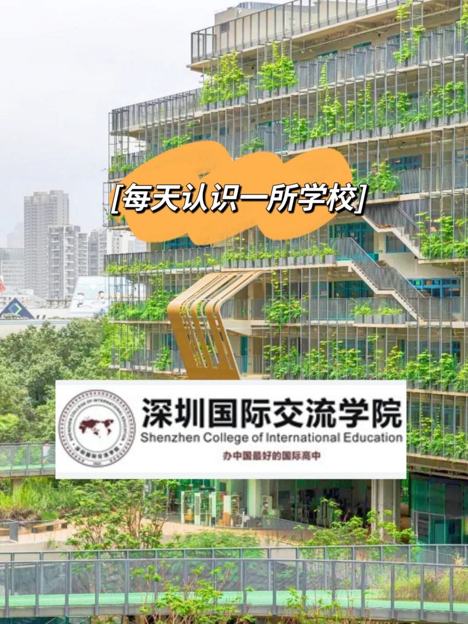 深圳国际交流学院图片图片