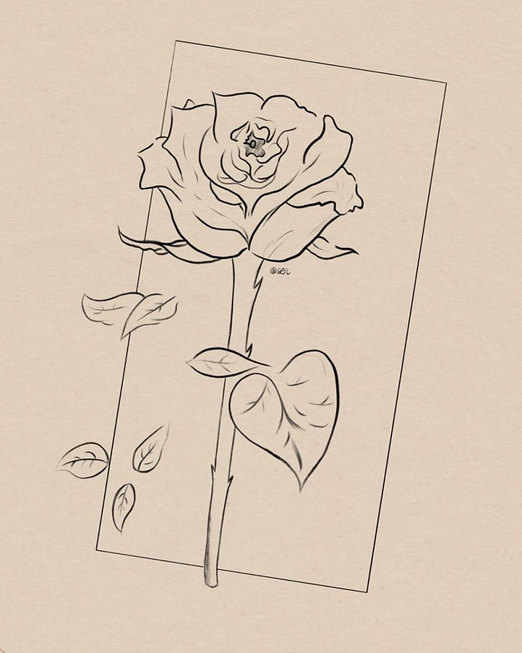 一朵鲜花的浪漫95简笔画|附过程 临摹@手绘 #pro