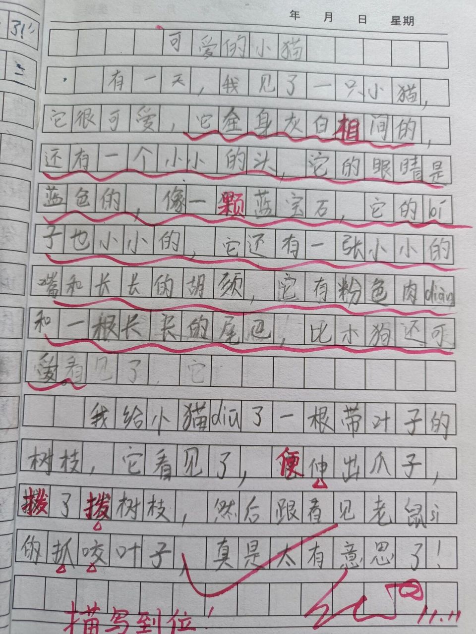 二年级作文《可爱的小猫》