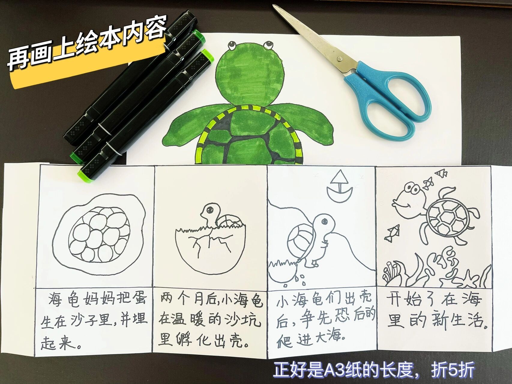 自制绘本-《海龟的诞生记录》 幼儿园暑假作业:自制一本绘本故事 正好