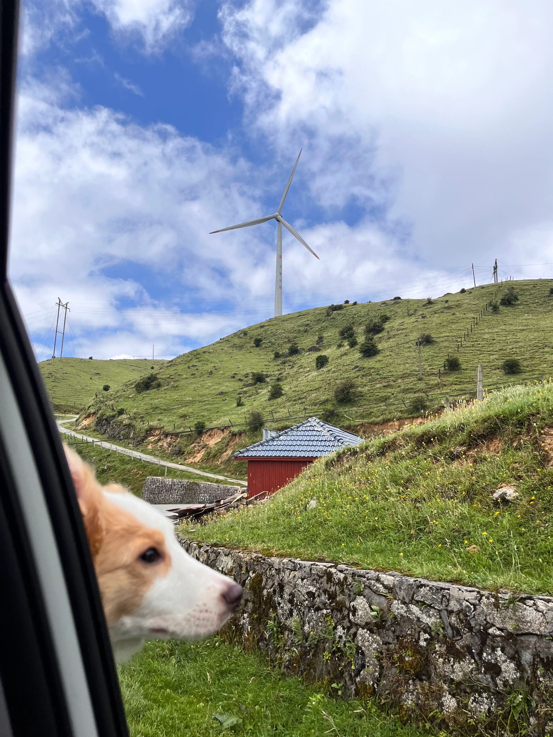 南山牧场天气预报在线 南山牧场天气预报在线