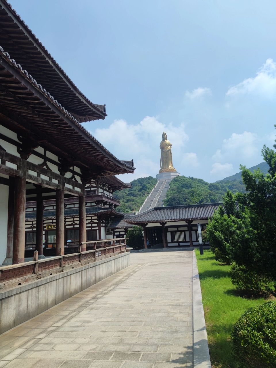 苏州西山大观音禅寺图片