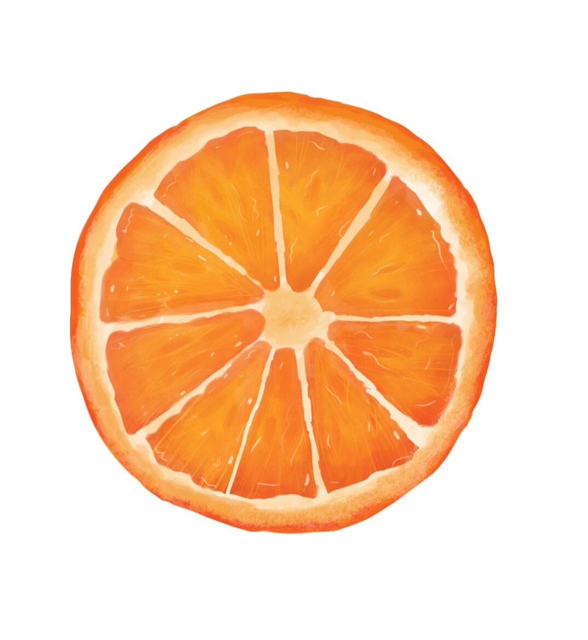 橙子切片卡通图片图片