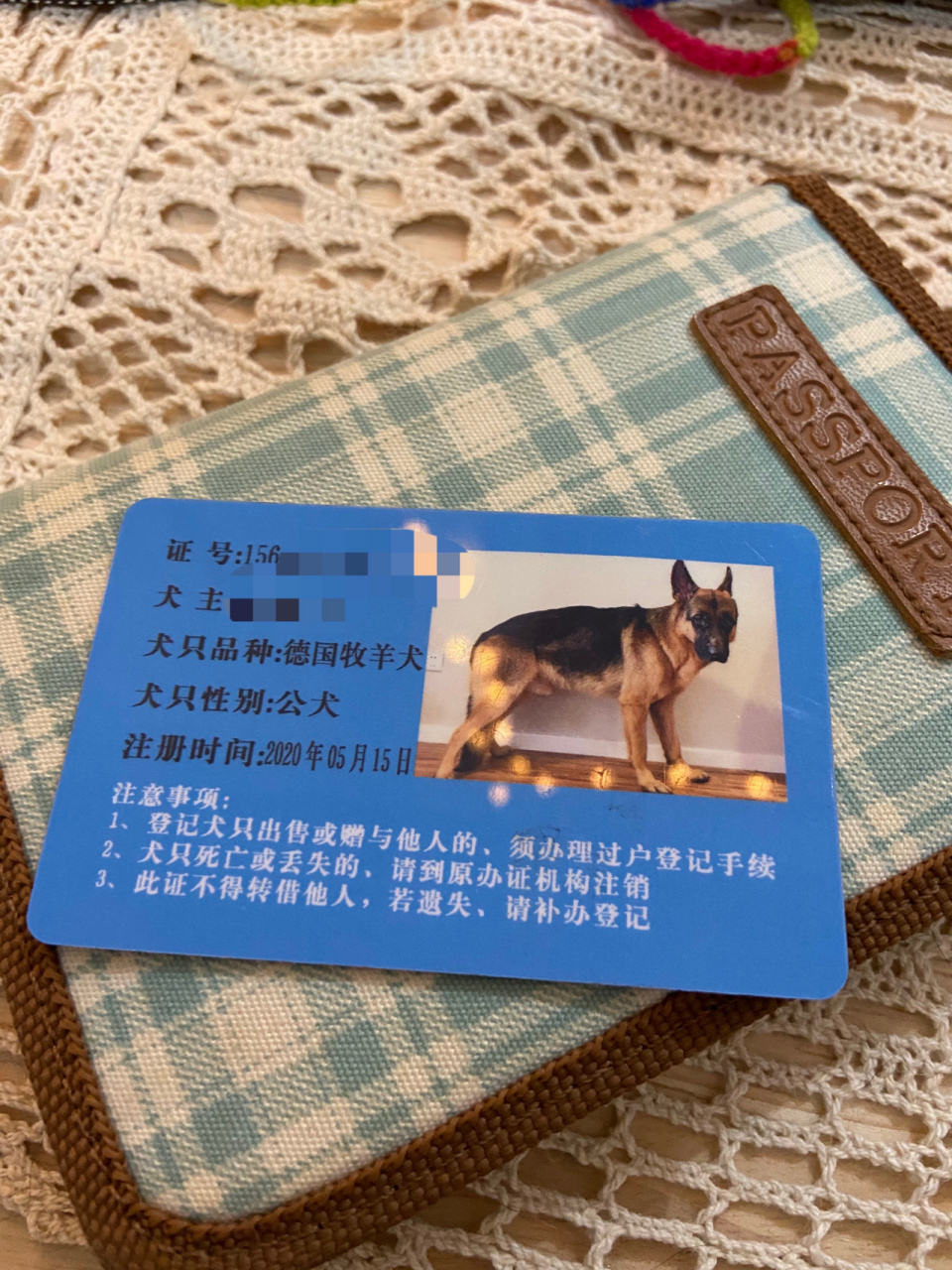 关于德牧的犬证办理 有教程03 很多人问我犬证怎么办 到底能不能办