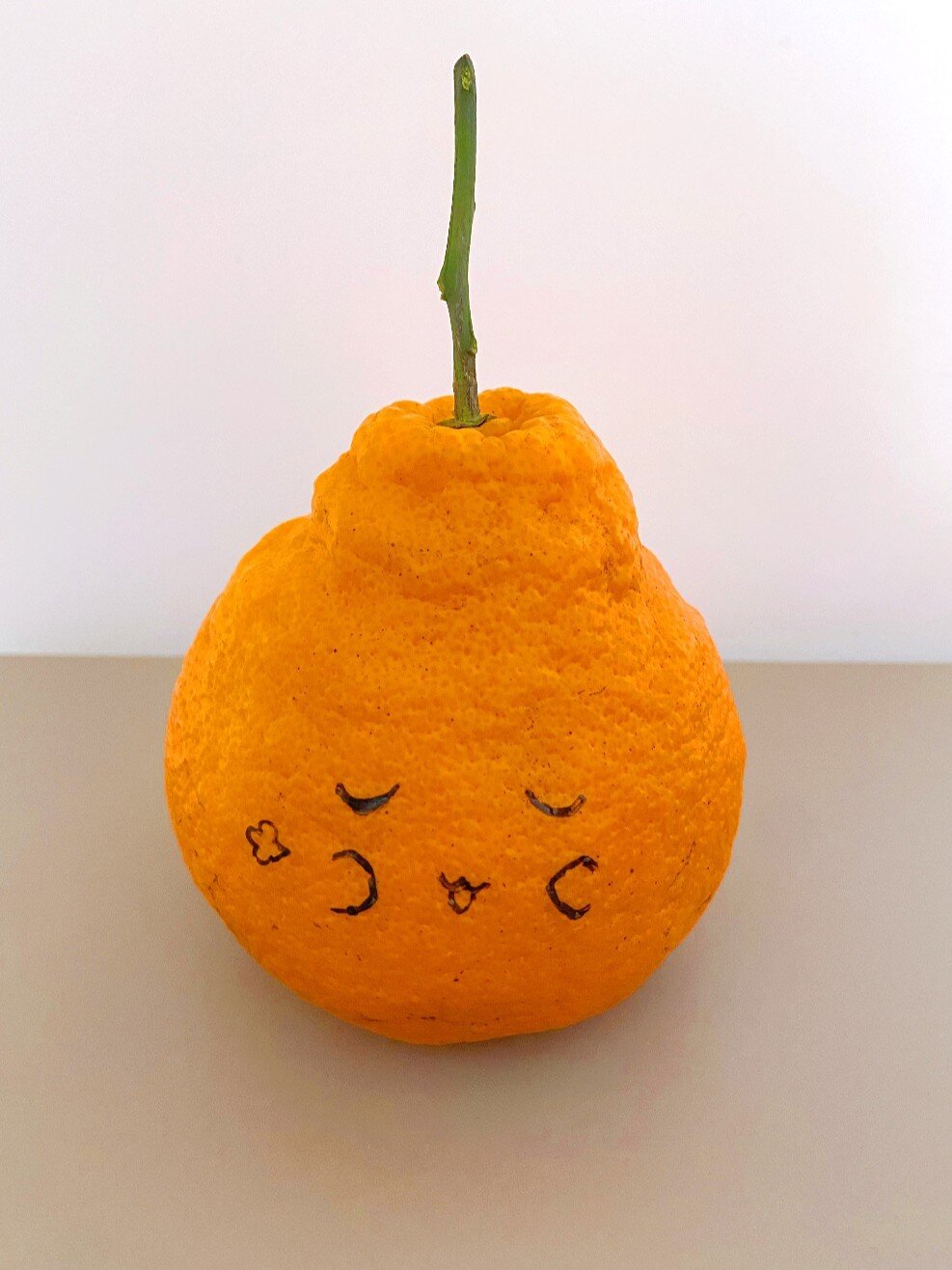 橘子表情包‖丑橘不丑不丑拒92简笔画