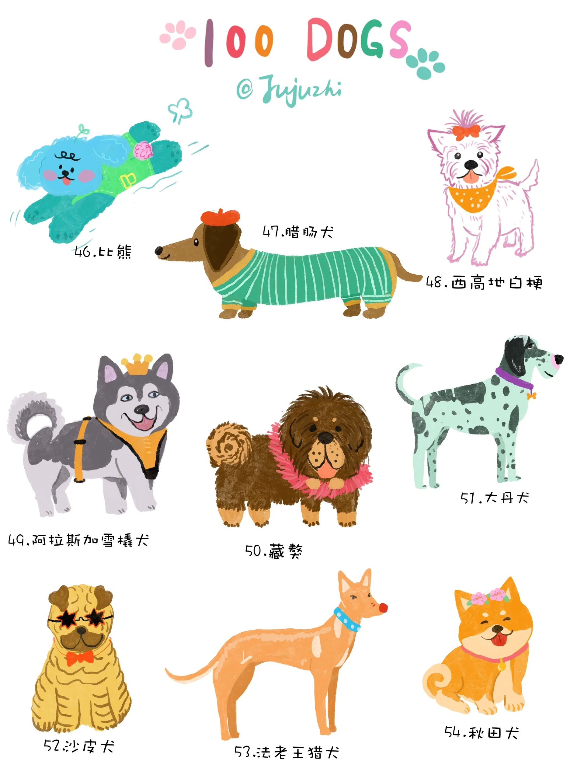 犬科动物画法图片