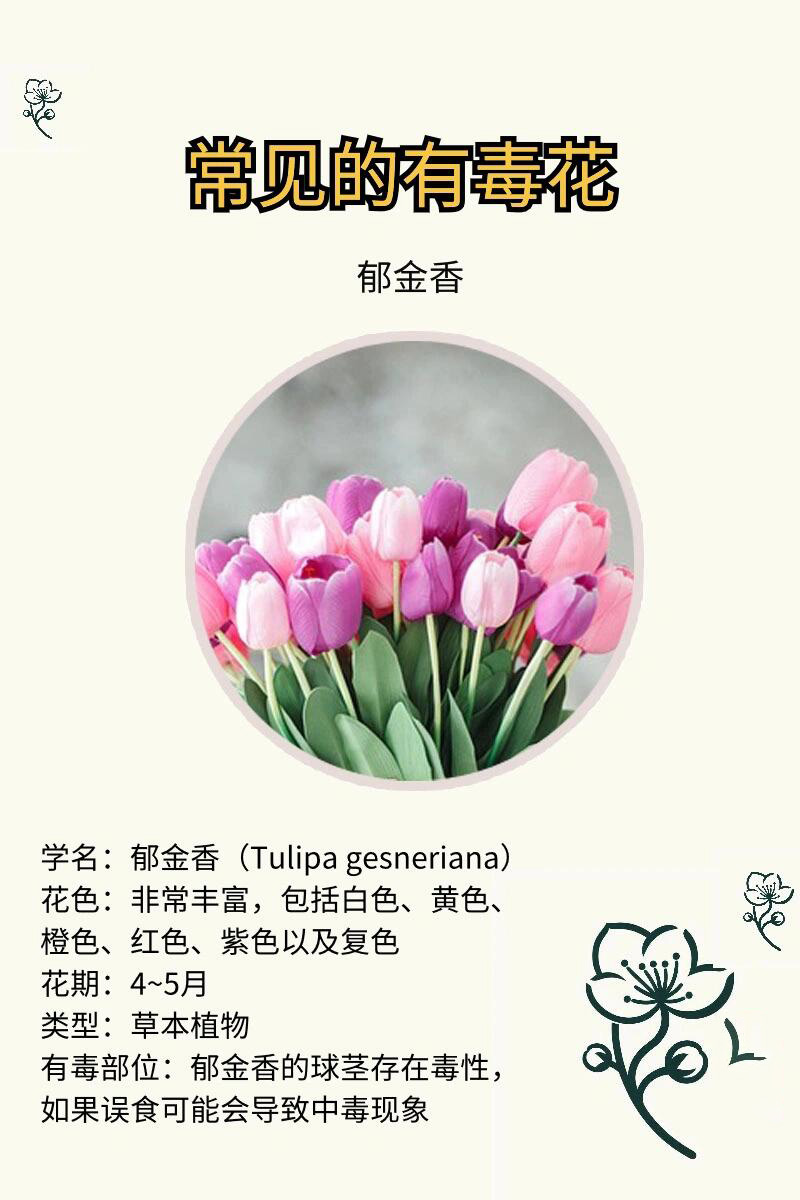 5种有毒花|路边见到要注意,家中要慎养