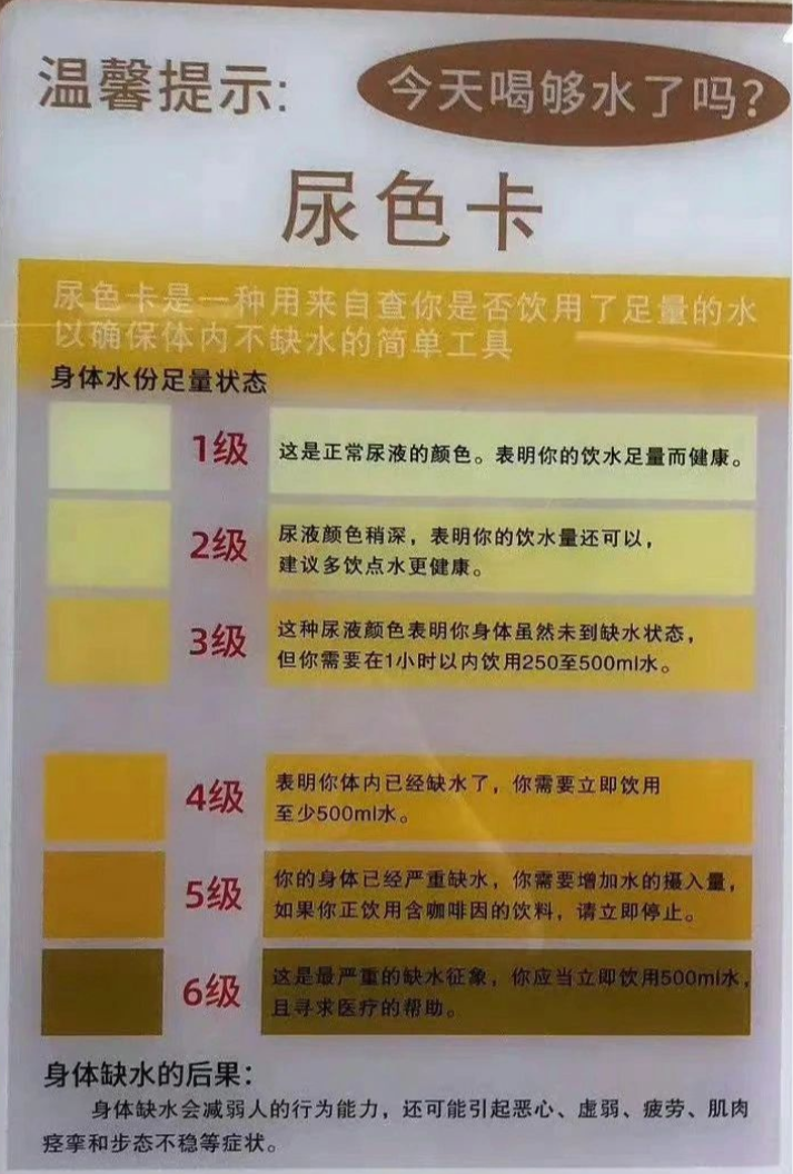 尿为什么会黄