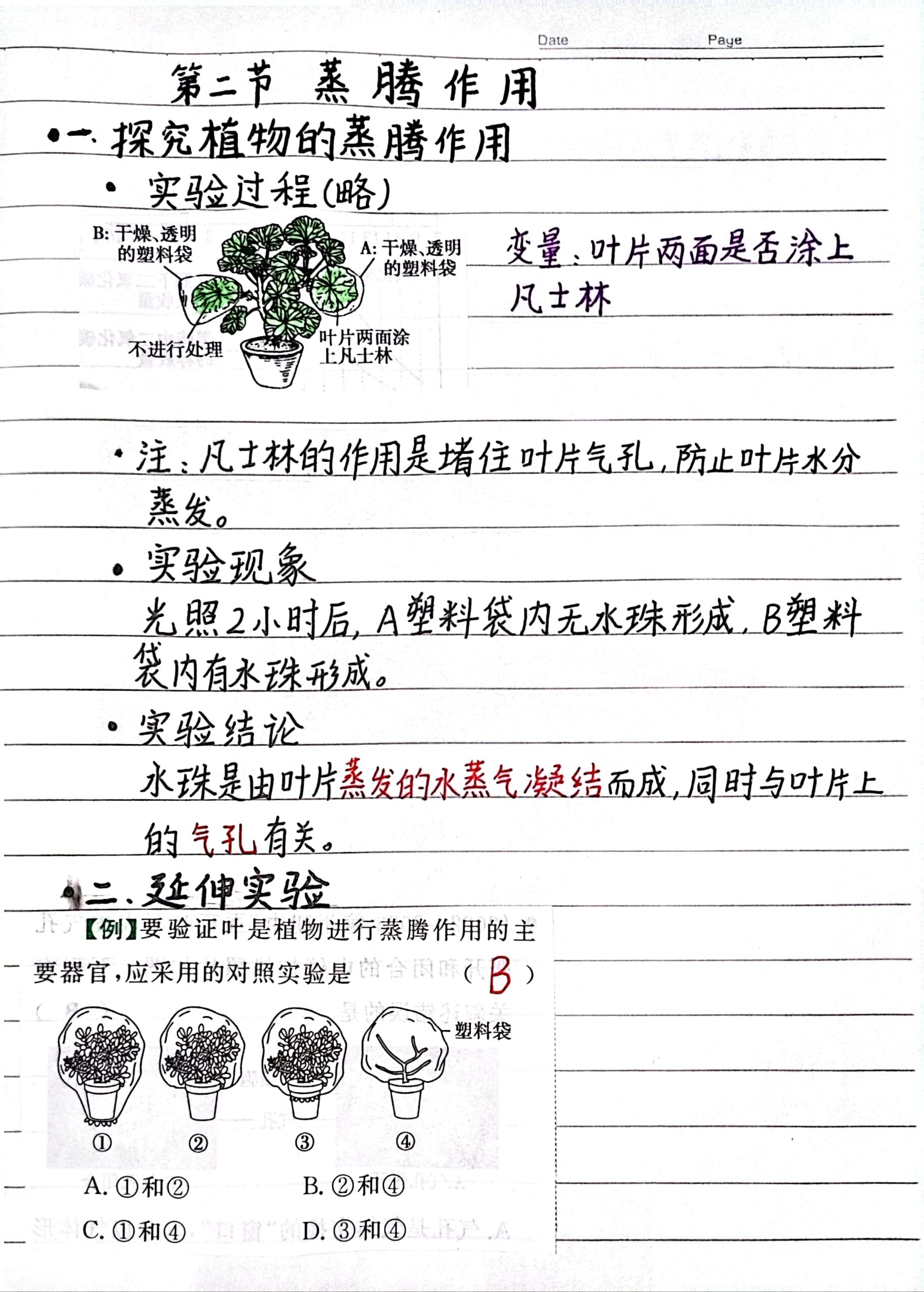 认识蒸腾作用 牢记蒸腾作用的概念 认识气孔 了解蒸腾作用的过程和