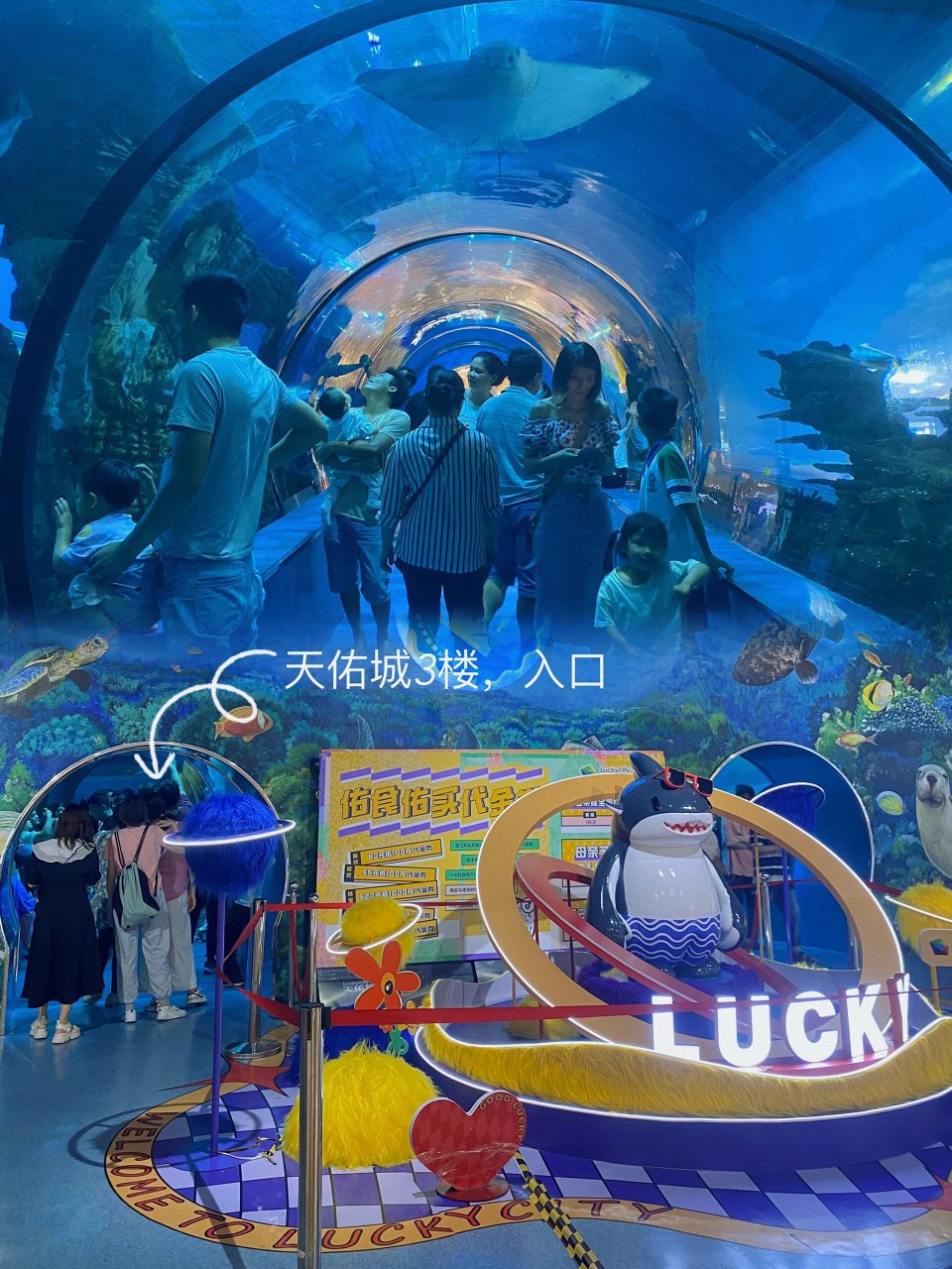 广佛顺德3000平米海洋馆看魔鬼鱼,重点免费 佛山周末遛娃亲子好去处