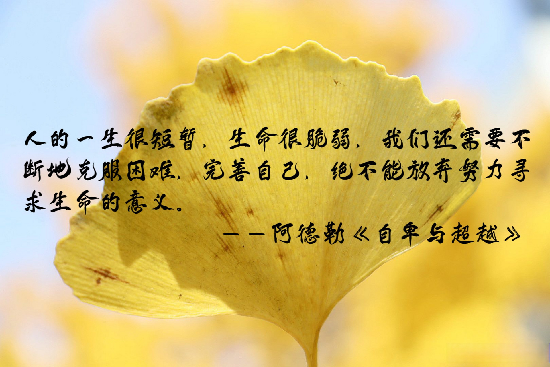 弘文拾萃#  人的一生很短暂,生命很脆弱,我们还需要不断地克服困难