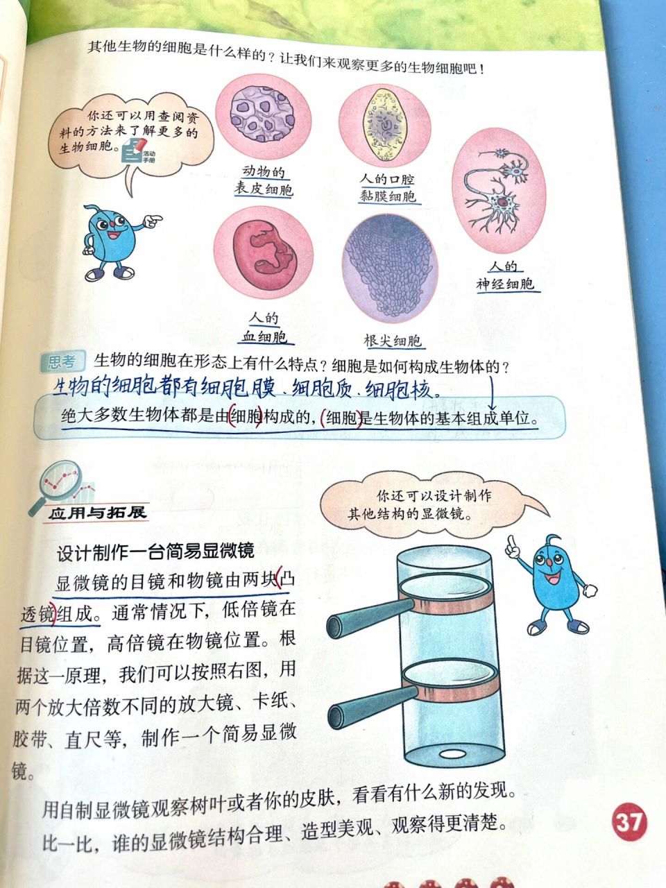 五年级下册科学笔记 河北人民教育出版社(石家庄) 五年级下册科学笔记