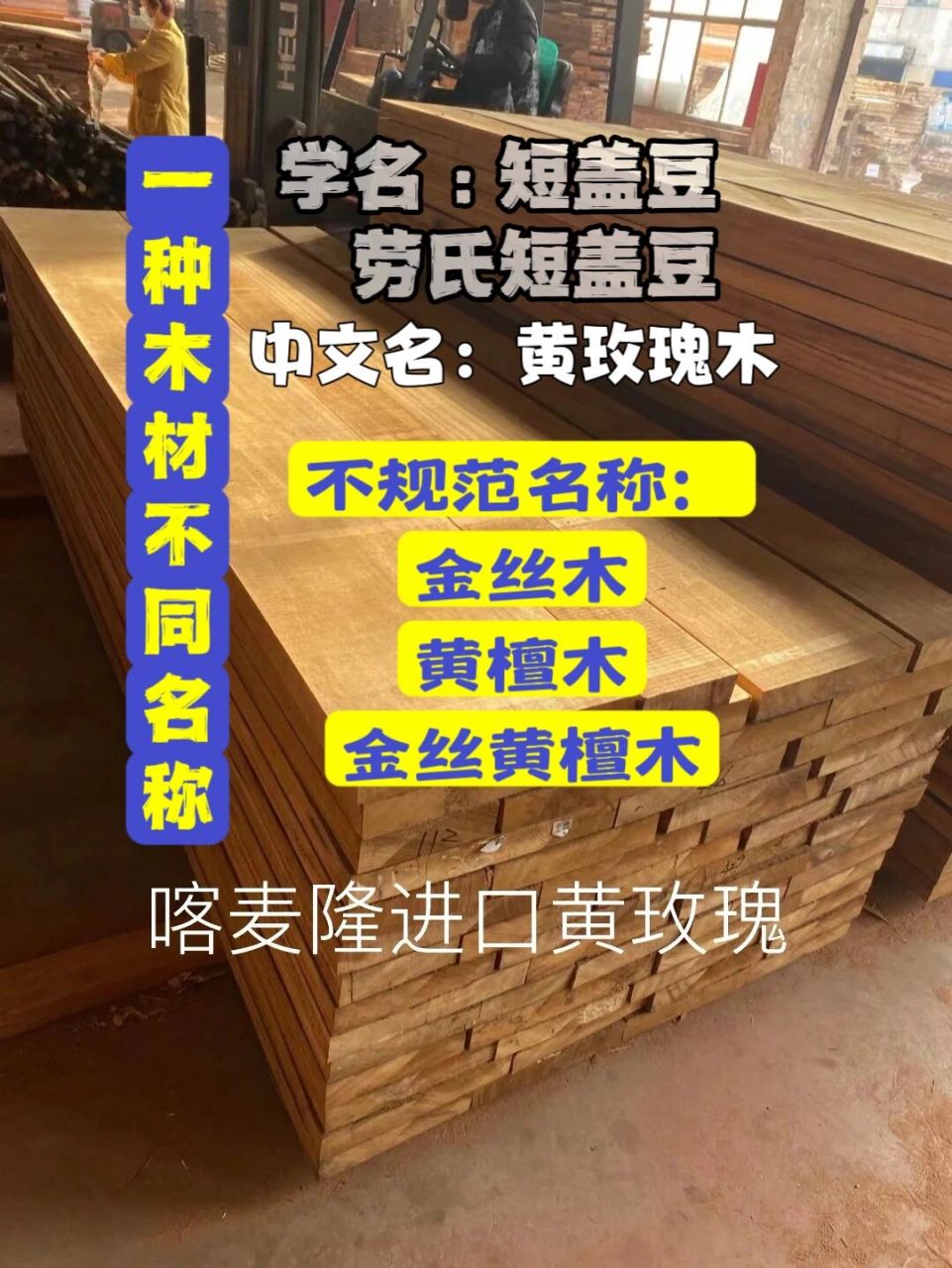 识木避坑:一种木材不同名称 木材名称:短盖豆,劳氏短盖豆中文名称:黄