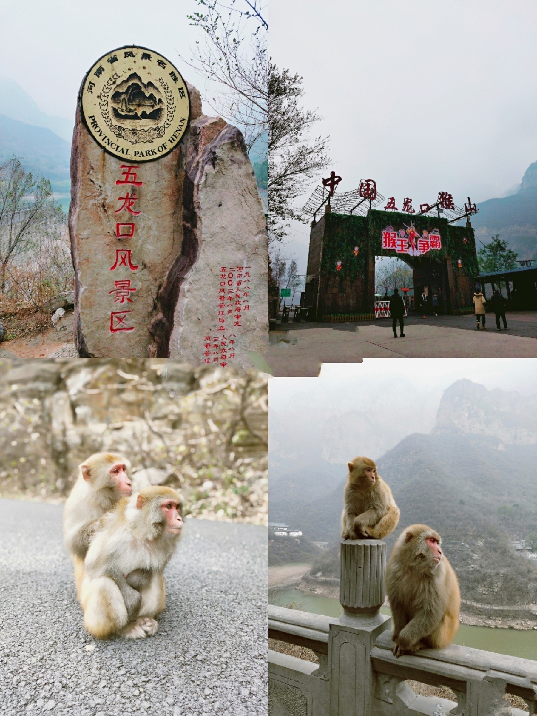 河南济源猴山图片