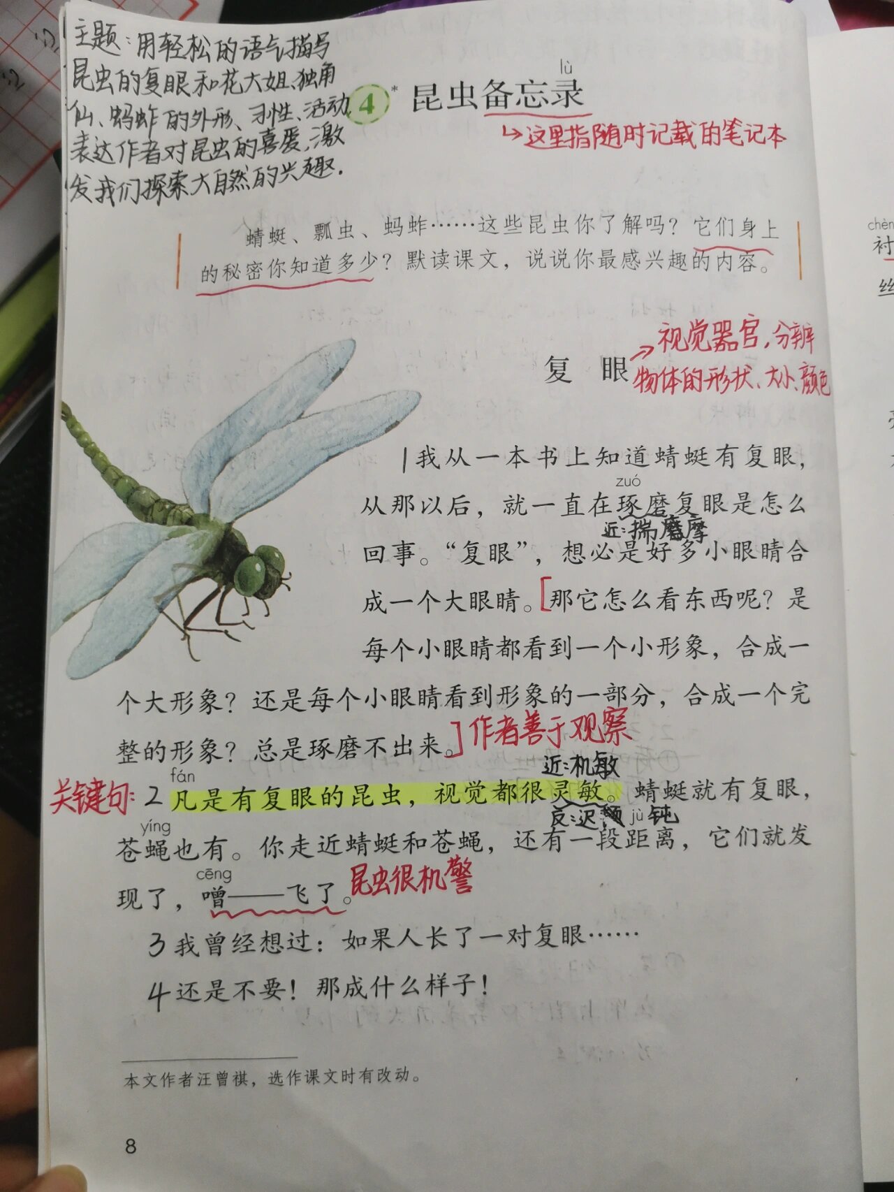 三年级下册语文《昆虫备忘录