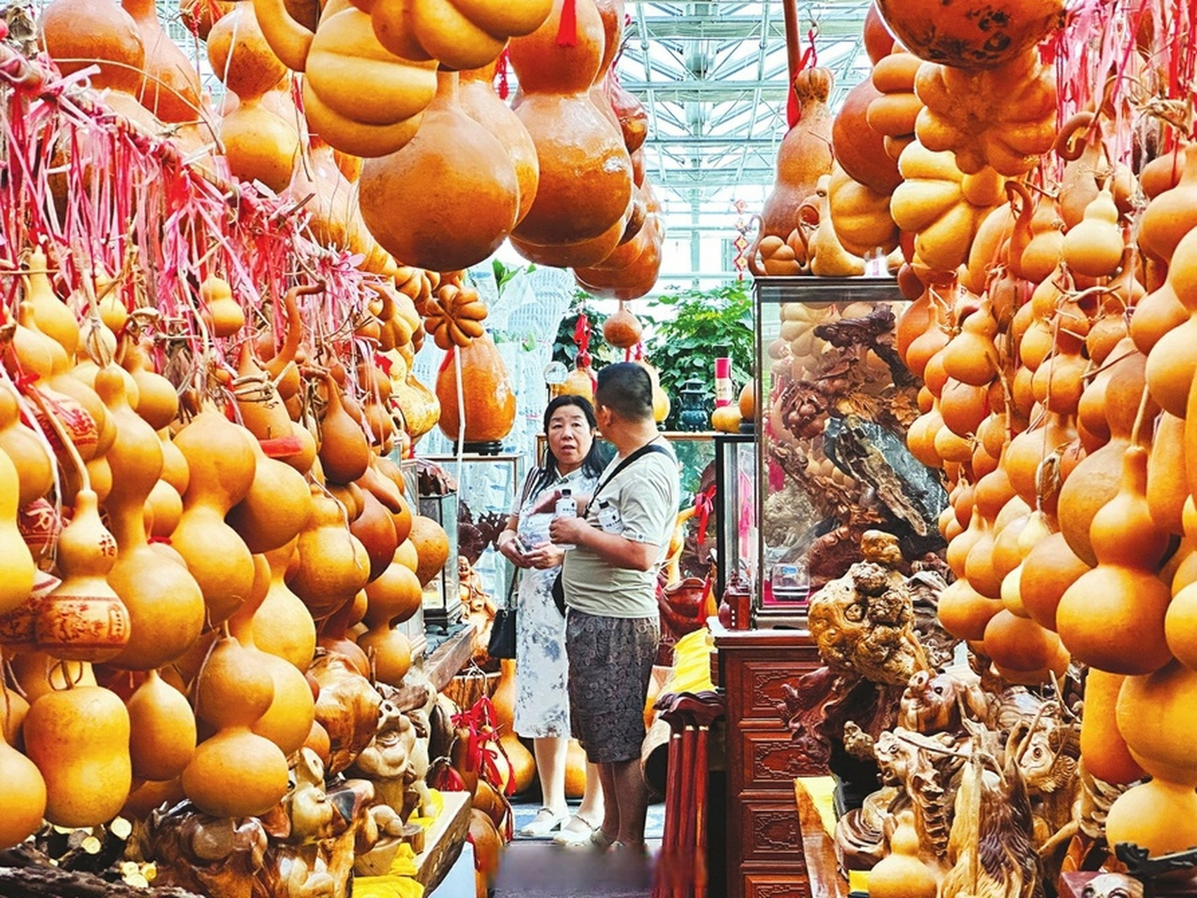 太原市杨家峪花卉基地图片