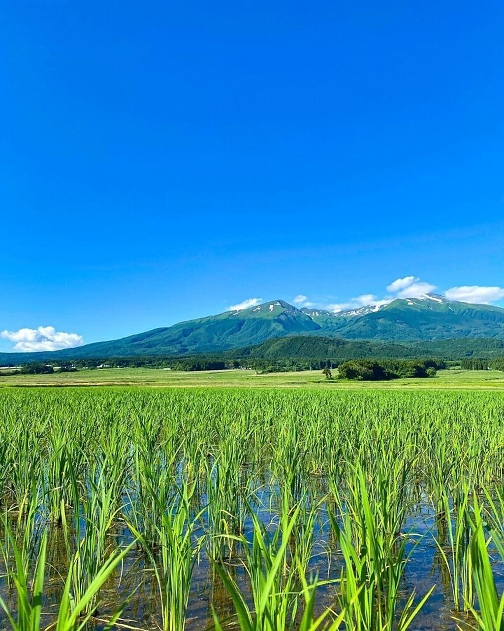 鸟海山是一座跨越秋田县和山形县两县县境的活火山,其山顶位于山形县