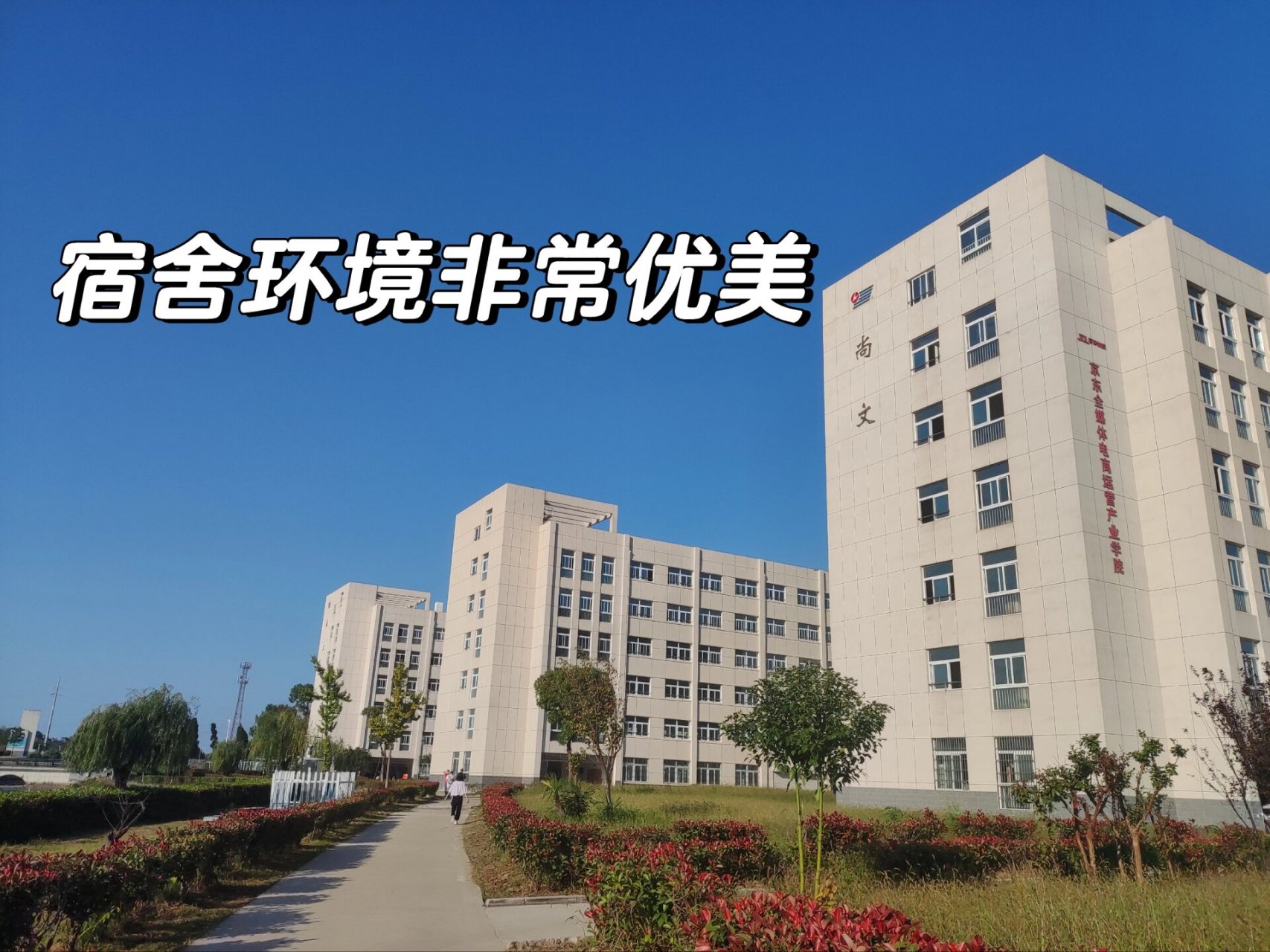 芜湖扬子学校图片