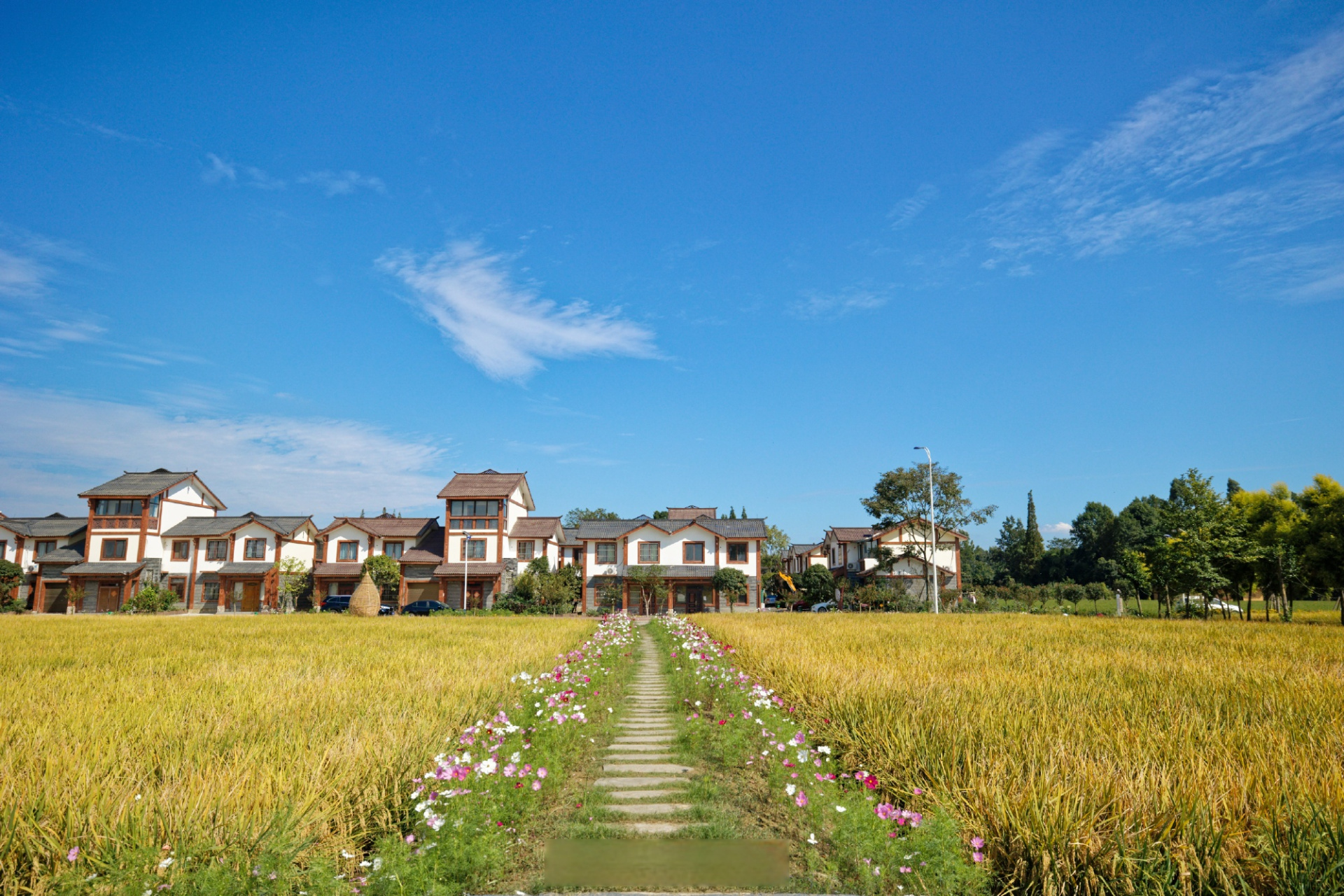 烟火蓉城# 【成都双流黄水镇:打造文旅强镇,推进城乡融合高质量发展