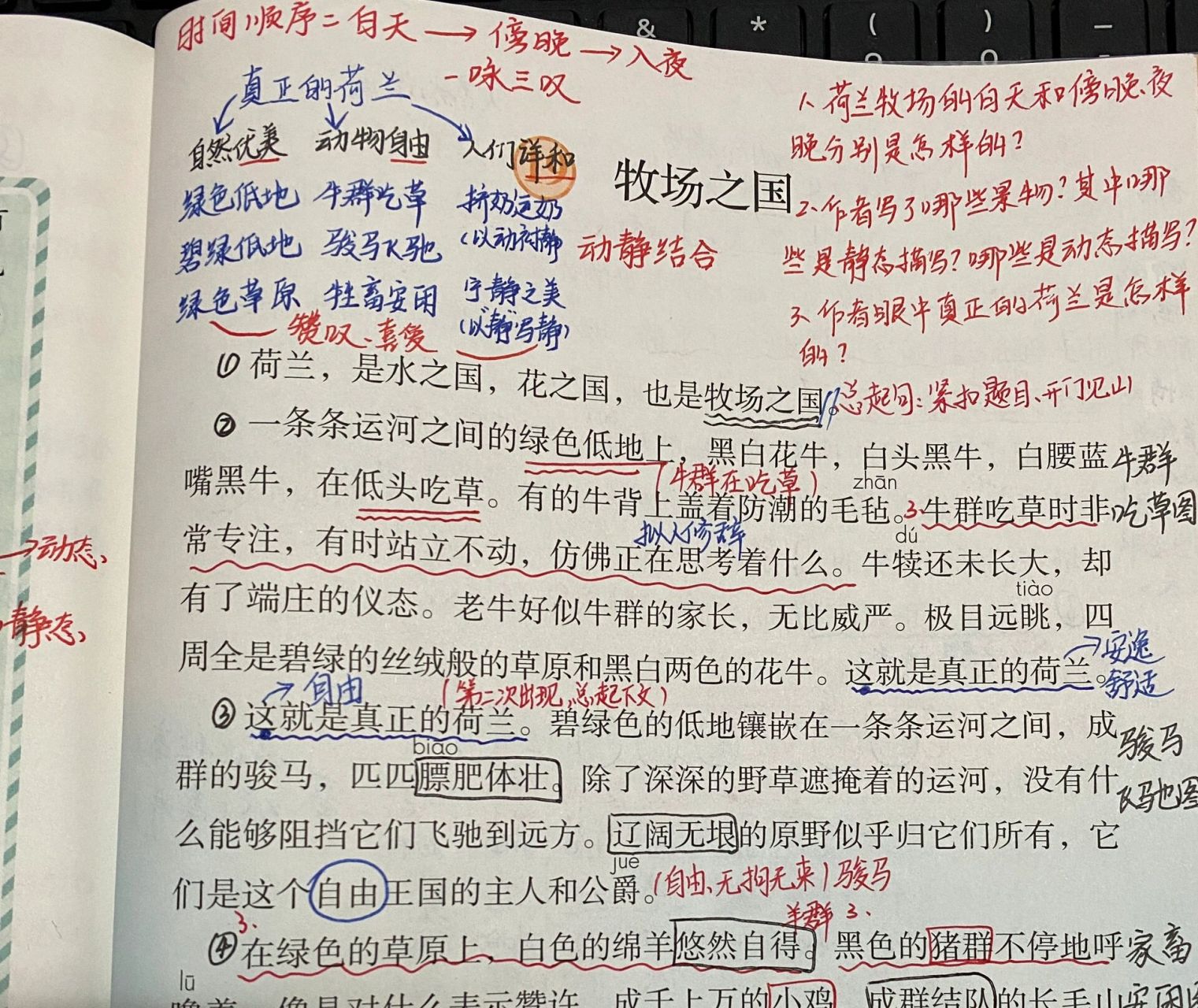 19《牧场之国》课堂笔记   荷兰, 水之国, 花之国, 牧场之国.