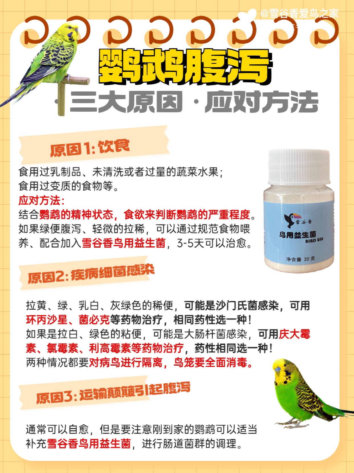 发现鹦鹉拉稀,我们要及时的找到原因,对症下药,帮助鹦鹉顺利的度过