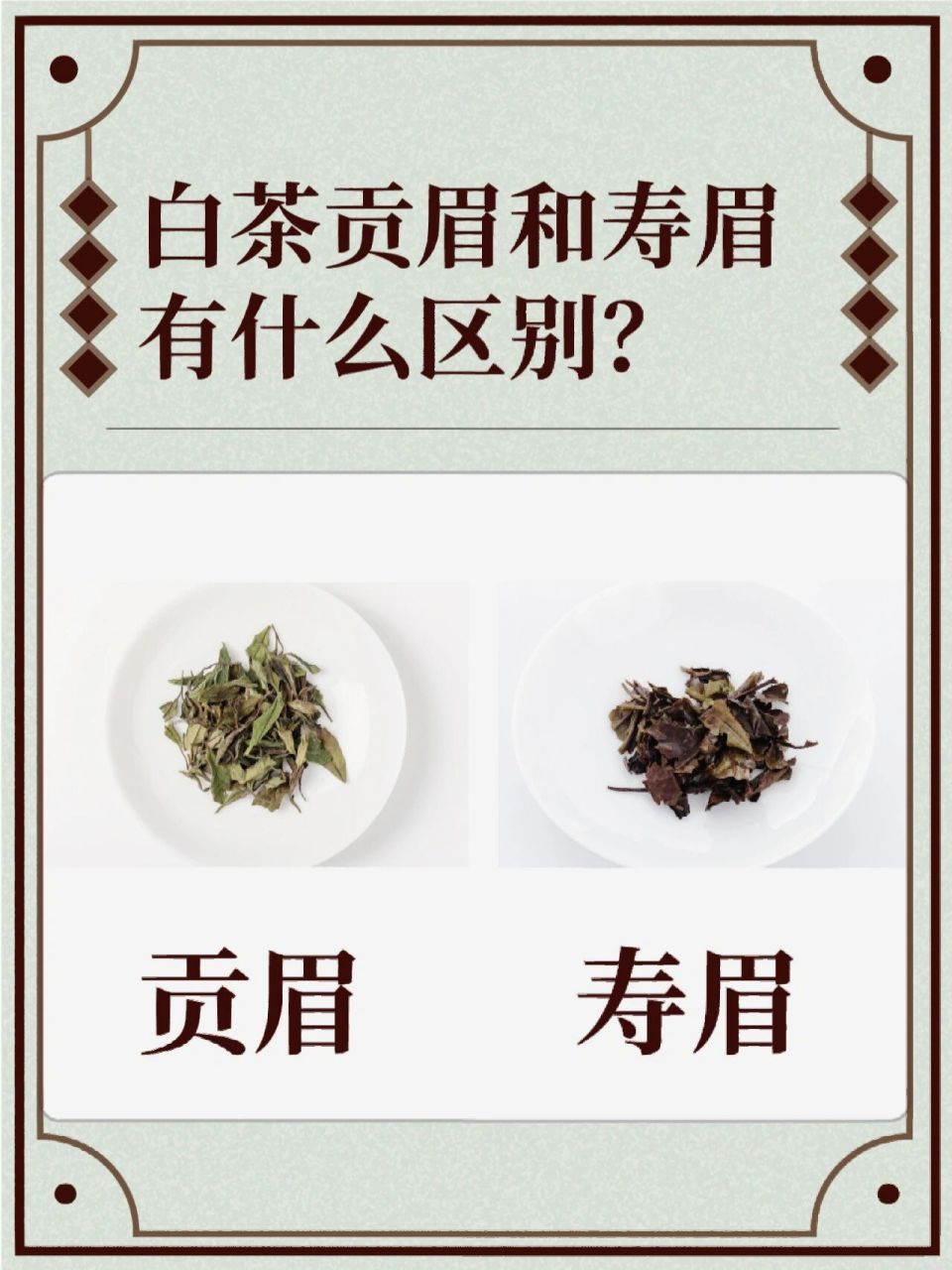 寿眉和贡眉怎么区分?