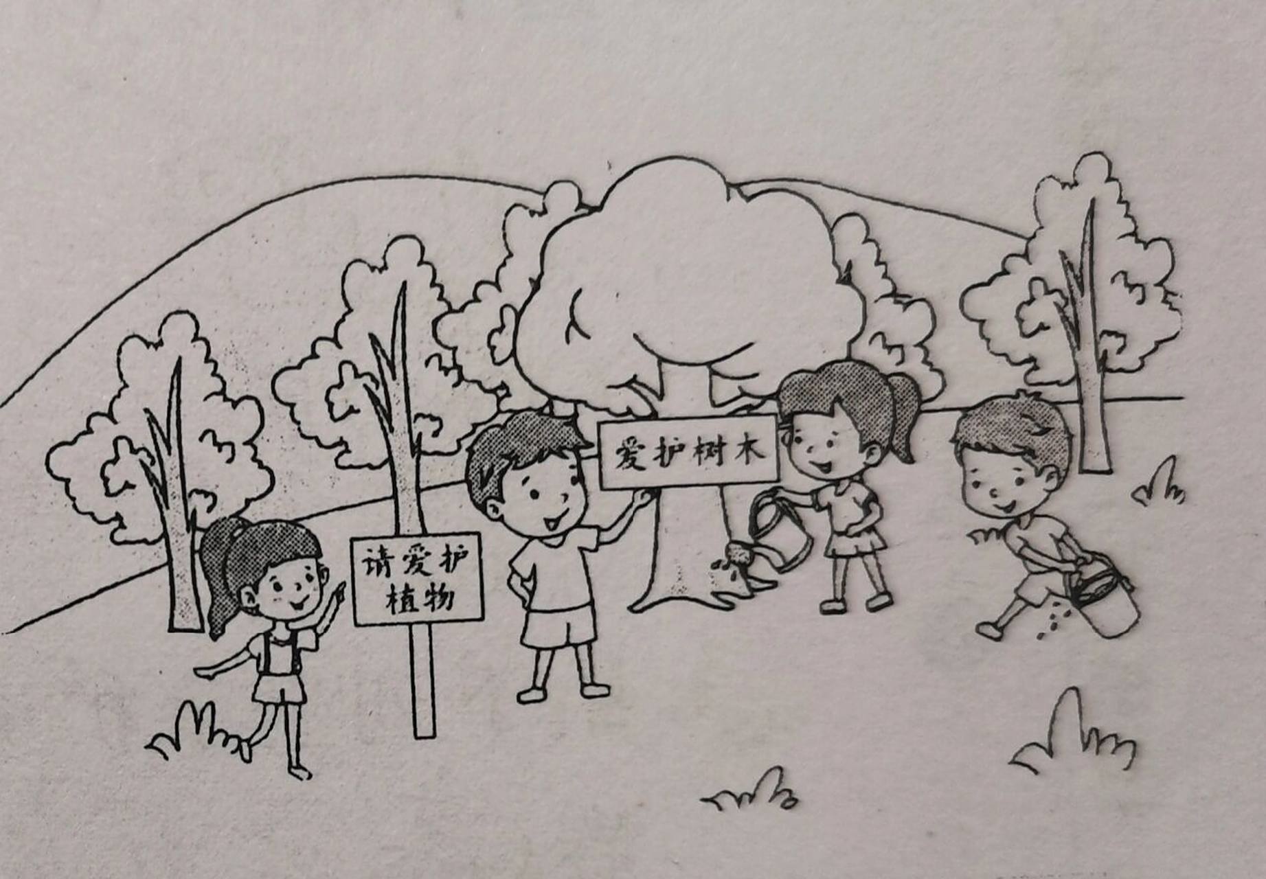 植树节~一年级看图写话 今天是植树节,小朋友们来到公园里的树林里