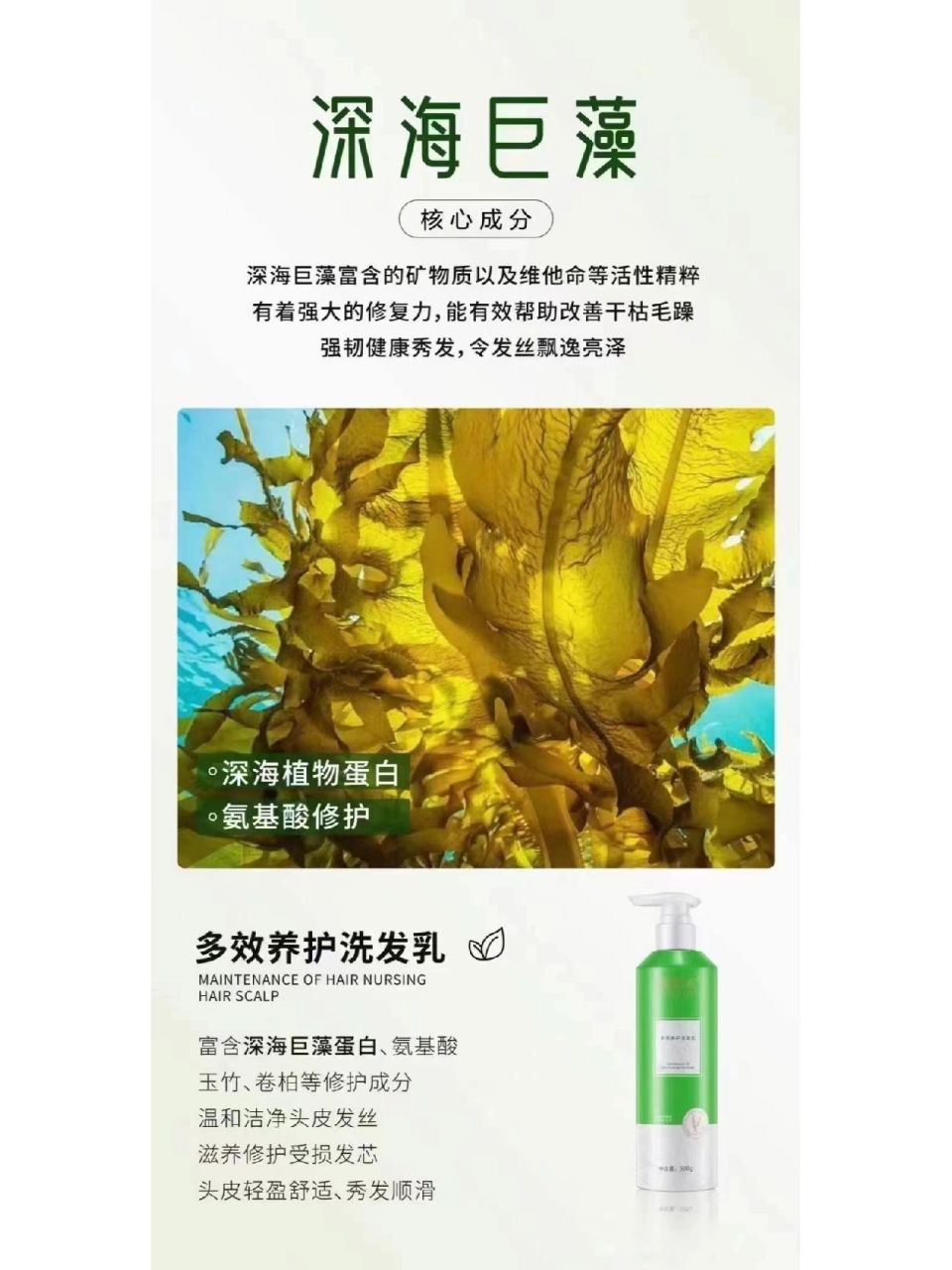 蜜植素洗发水曝光图片