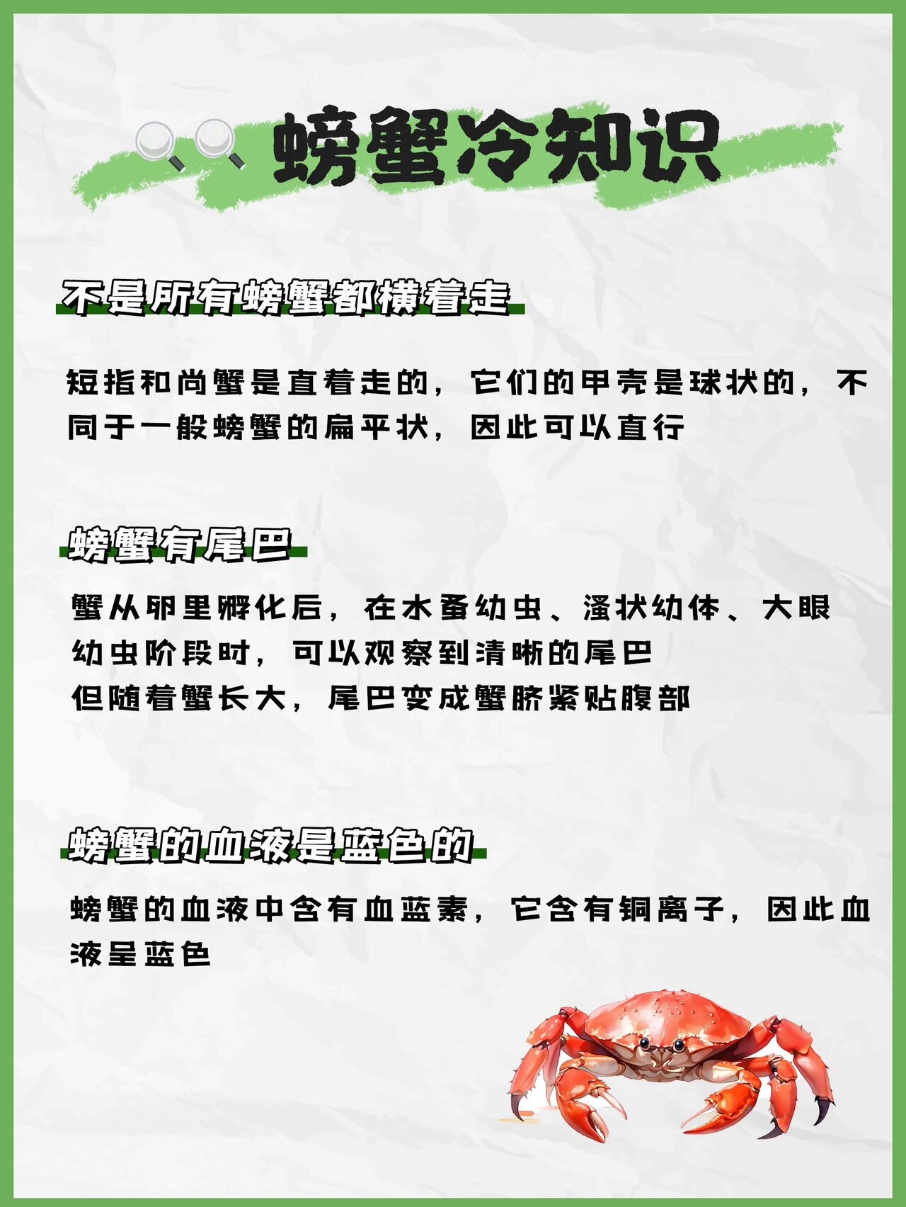 9215在海边玩耍时,我们是不是会见到可爱的02小螃蟹 和其他