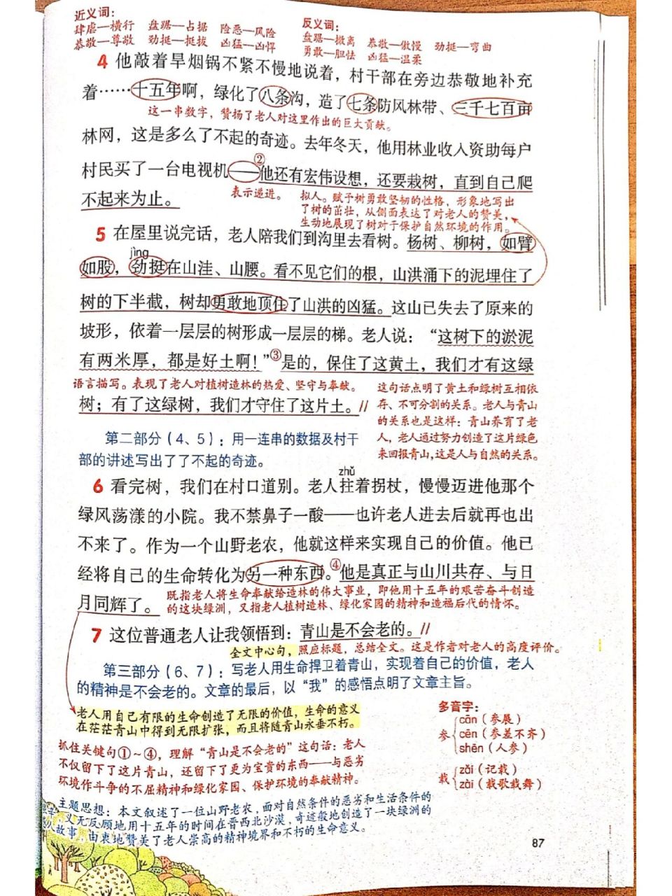 六年级上册语文《青山不老》课堂笔记          部编版小学语文六年级