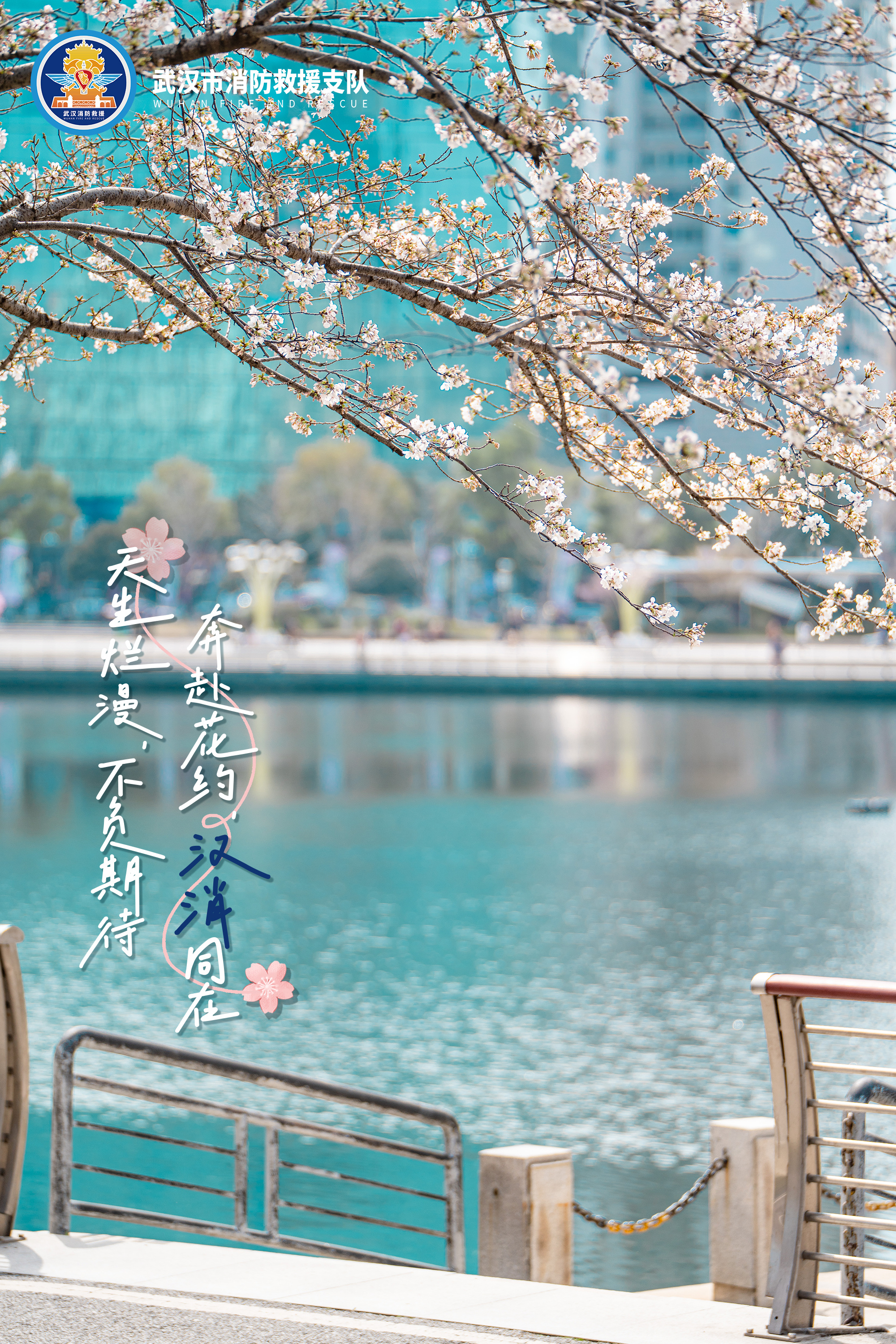 跟阿武一起在樱花盛开的春天,来一场粉色的邂逅吧!