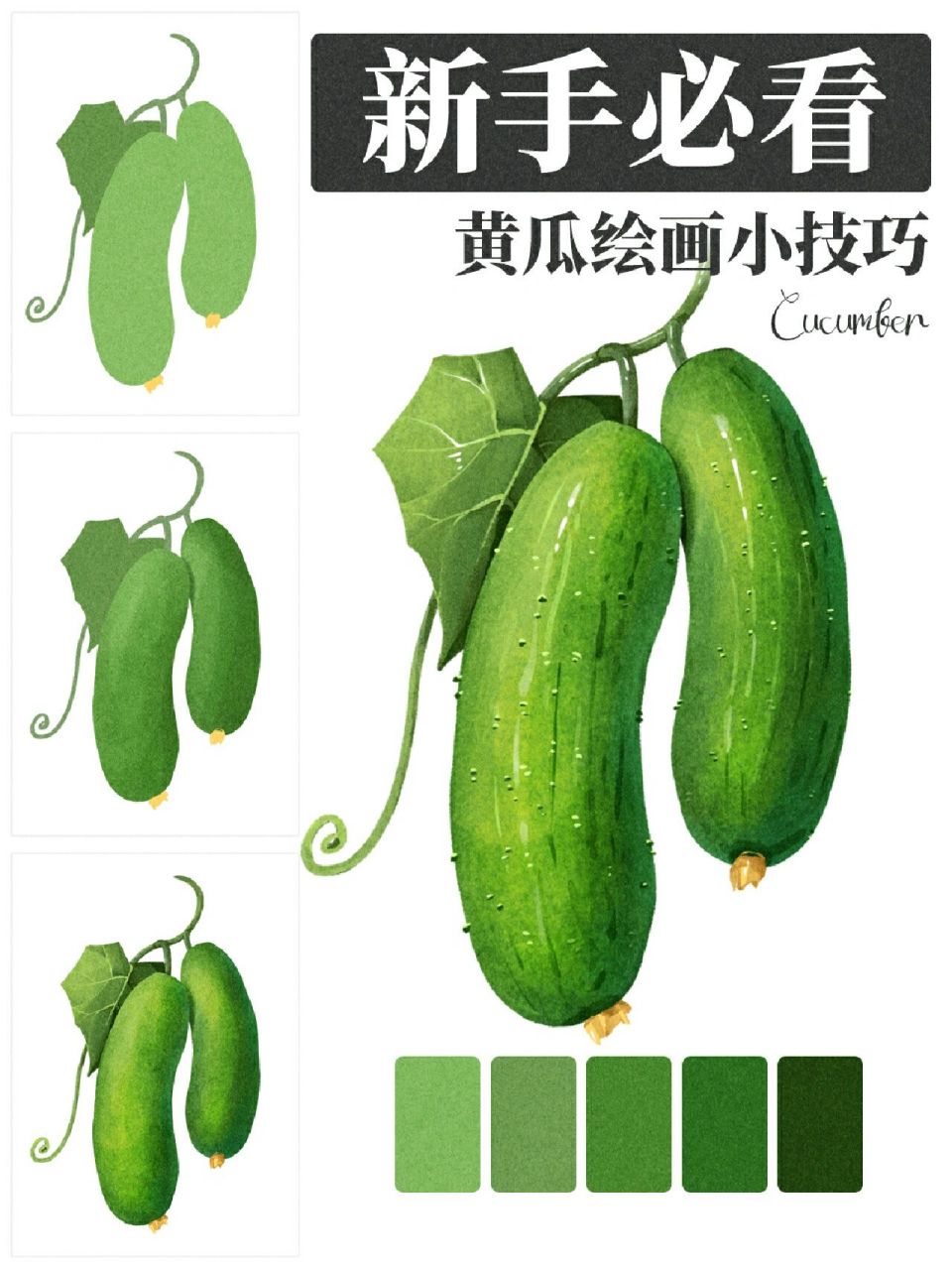 插画学习丨黄瓜06 今天分享的是一个黄瓜的水彩画法 整体画下来还是