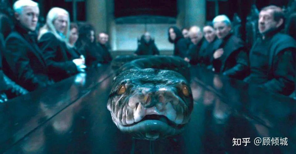 哈利波特纳吉尼为什么会死心塌地地跟着伏地魔