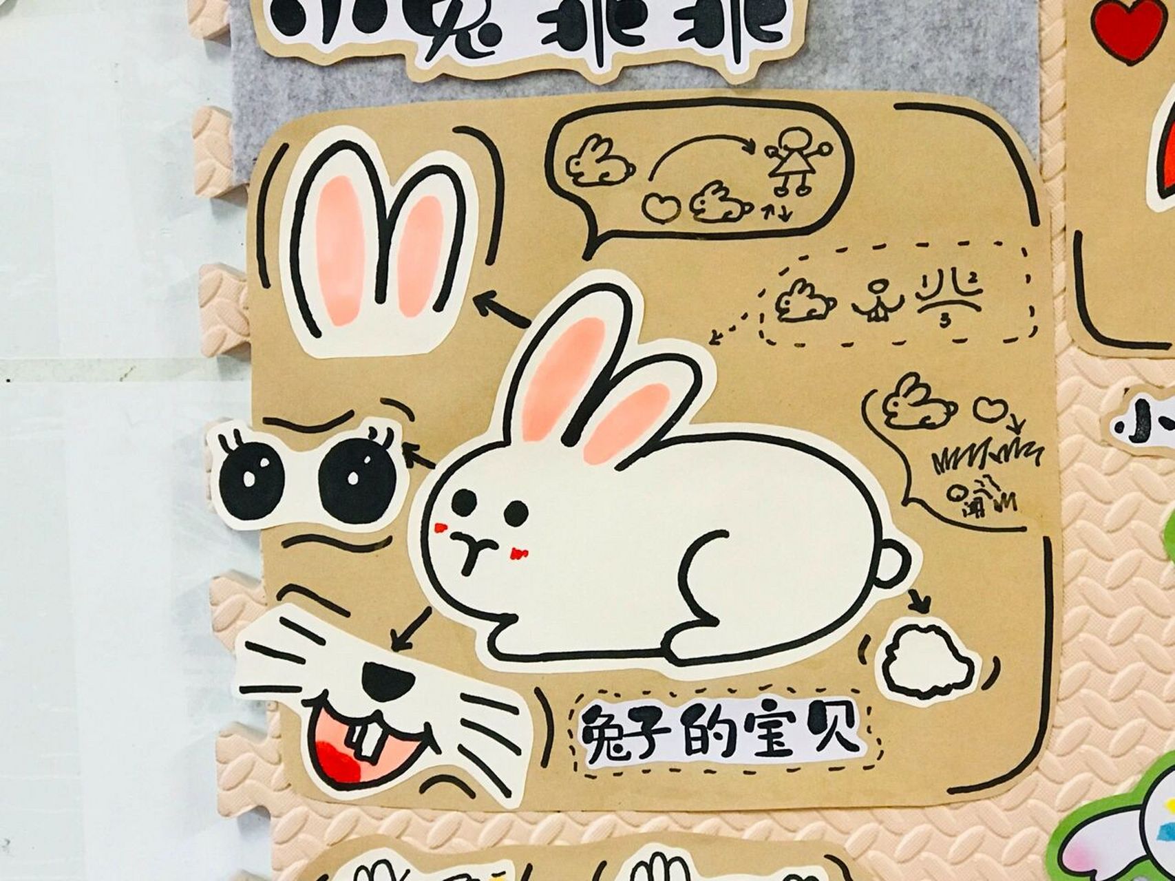 小班小兔乖乖主题墙 兔子的宝贝,保护小兔子,小兔花花衣,小兔最爱