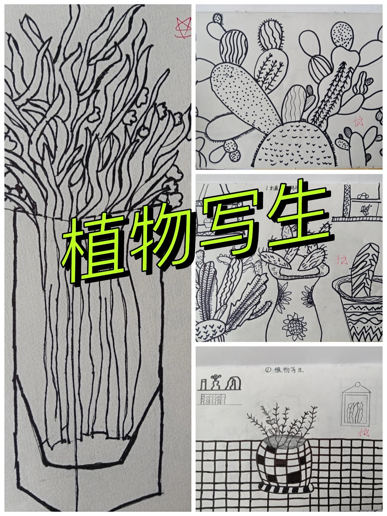 小学美术四年级下册《植物写生》