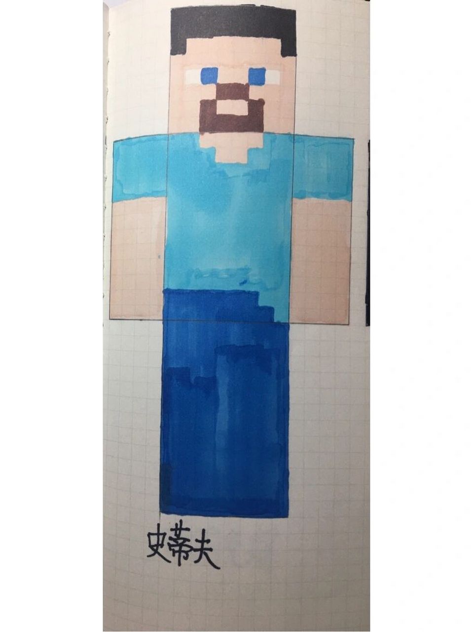 我的世界像素画史蒂夫