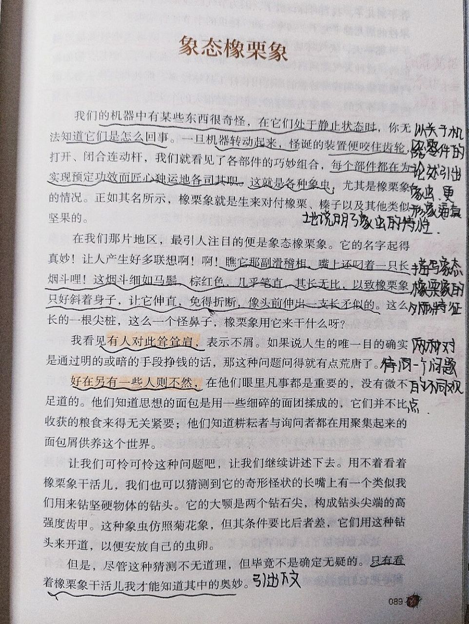 《象态橡栗象》上 《象态橡栗象》批注