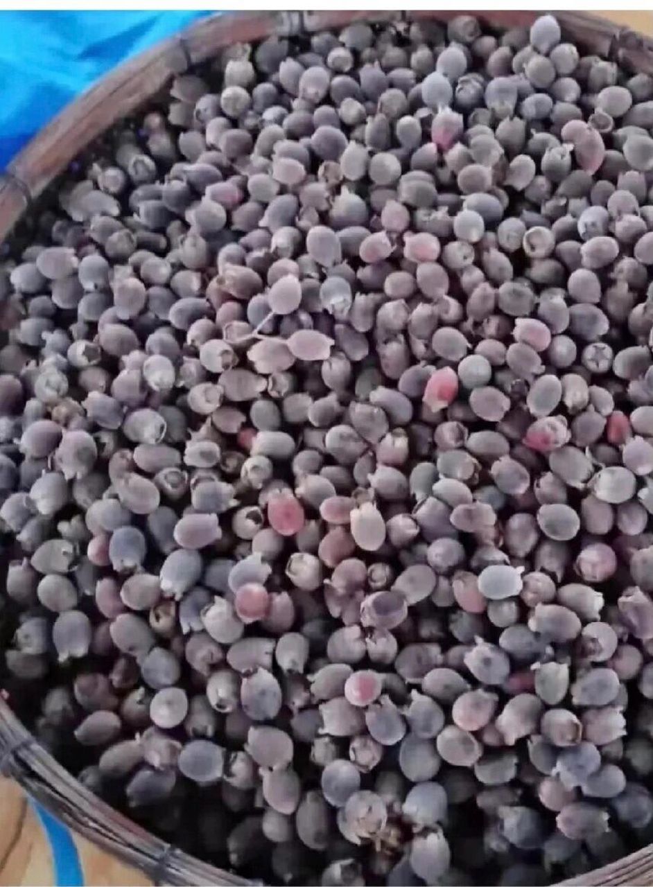 桃金娘的作用山稔果果实: 有丰富的营养价值